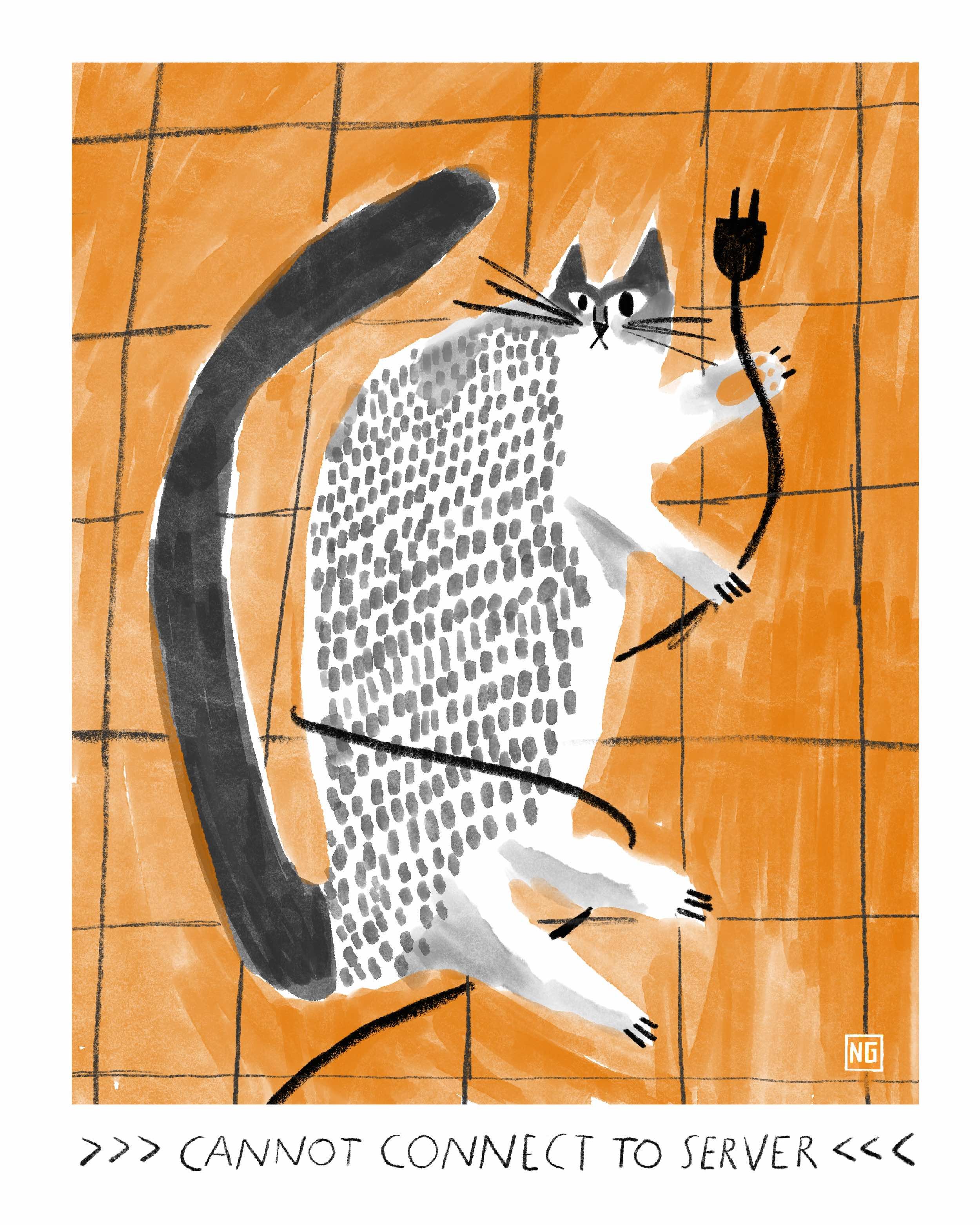 Cannot connect to server