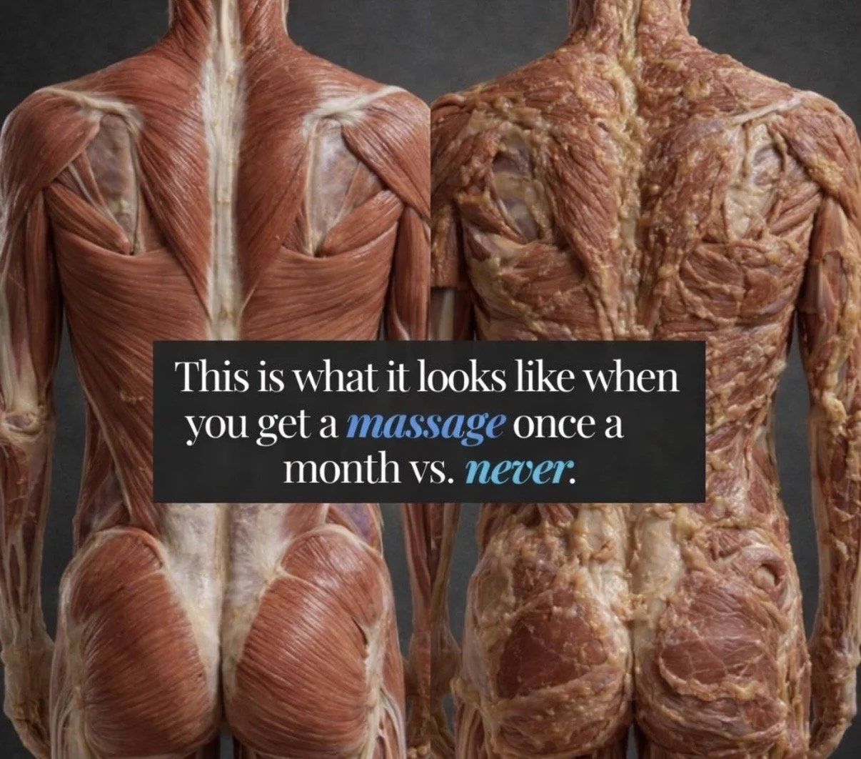 Do Massages Really “Change” Your Muscles?