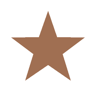 Star icon representing Special Enrollment Period eligibility any time of year