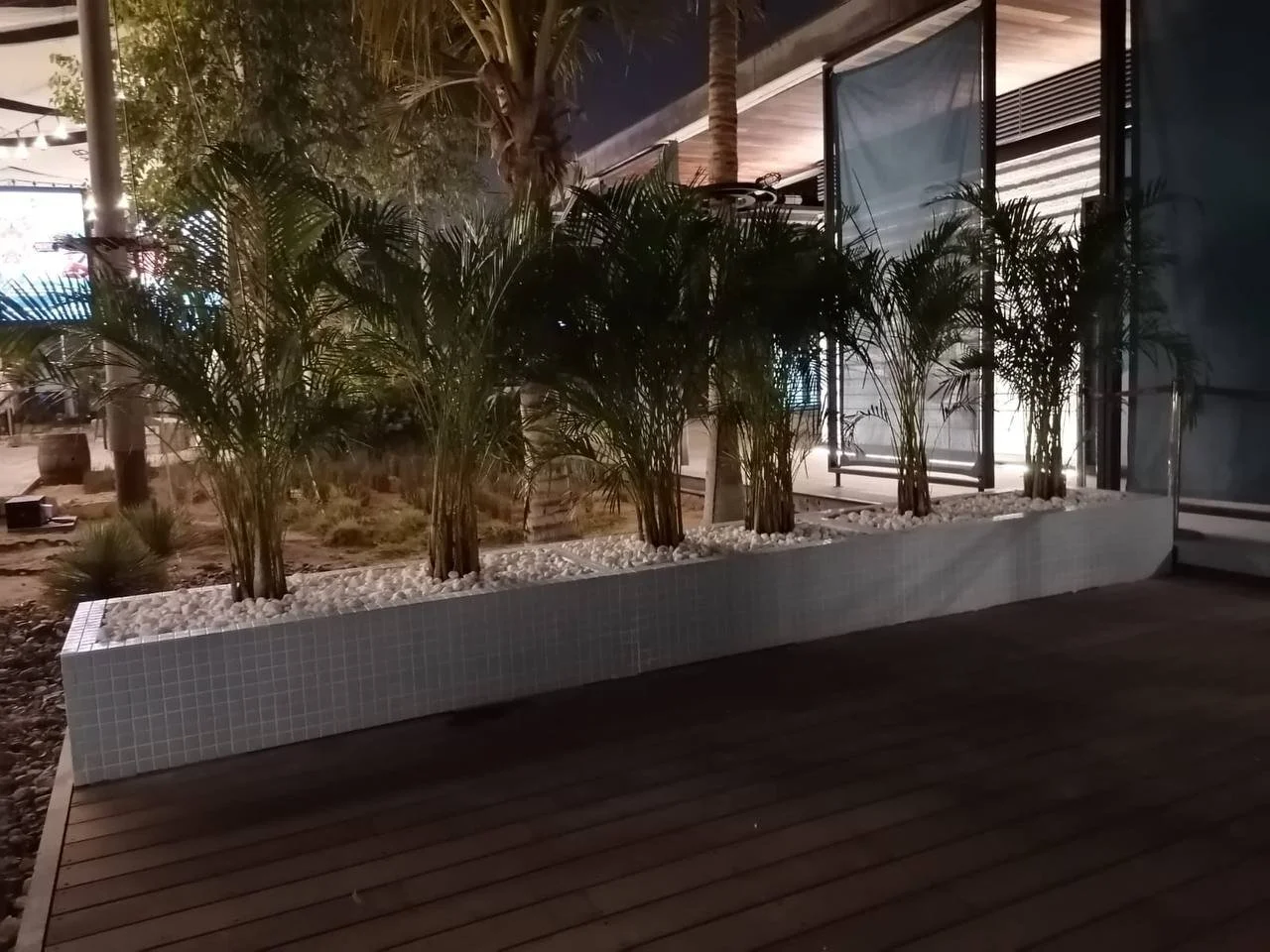 5796305803769136823.jpg