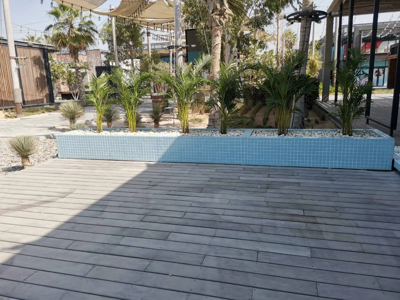5796305803769137067.jpg