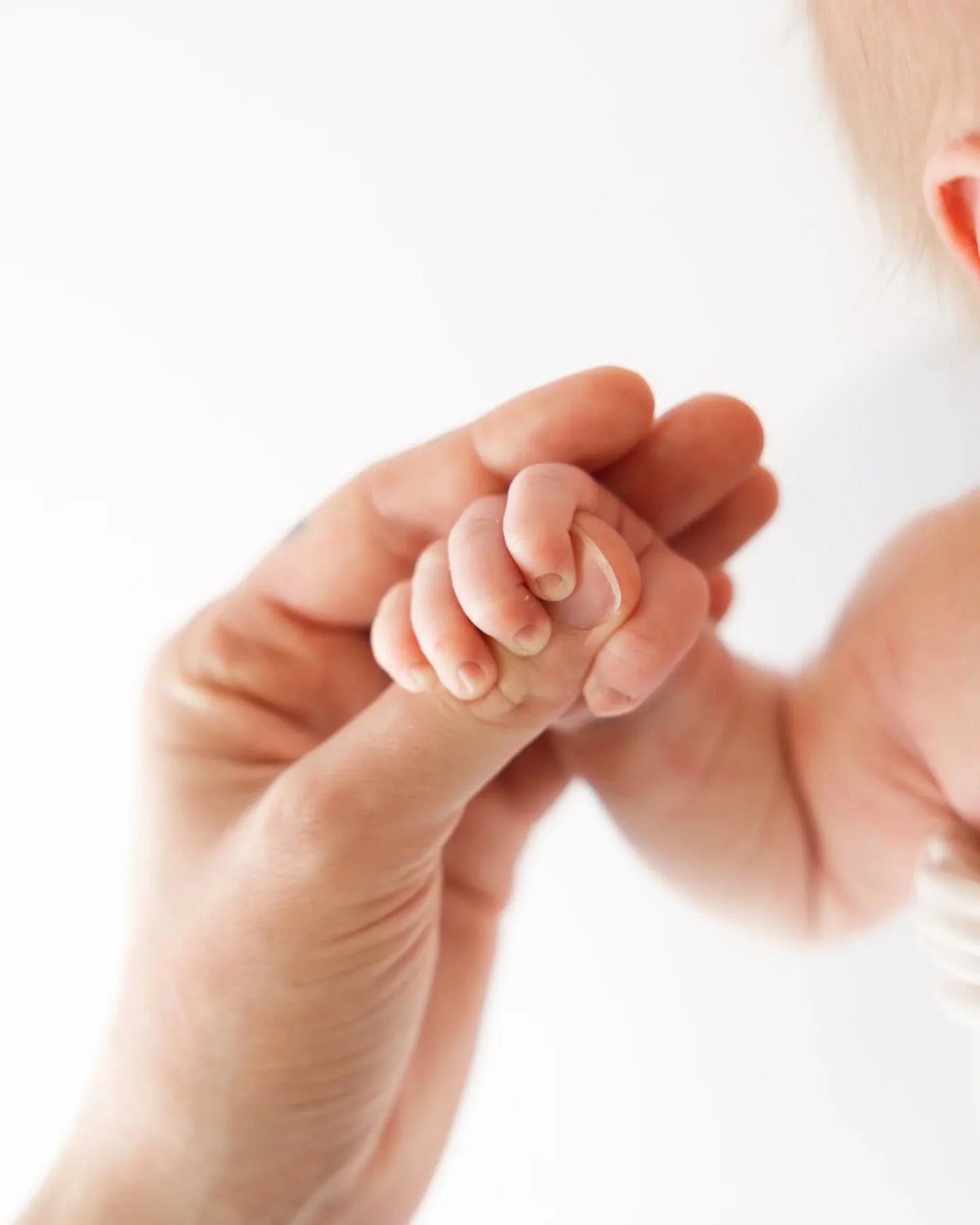 DETAILS 🤍 
Bei einem Newbornshooting halte ich die kleinen F&uuml;schen,  die winzigen Finger, die s&uuml;&szlig;en Zehen f&uuml;r die Ewigkeit fest. So schnell geraten genau diese Dinge in Vergessenheit. Umso wichtiger ist es, bleibende Erinnerunge