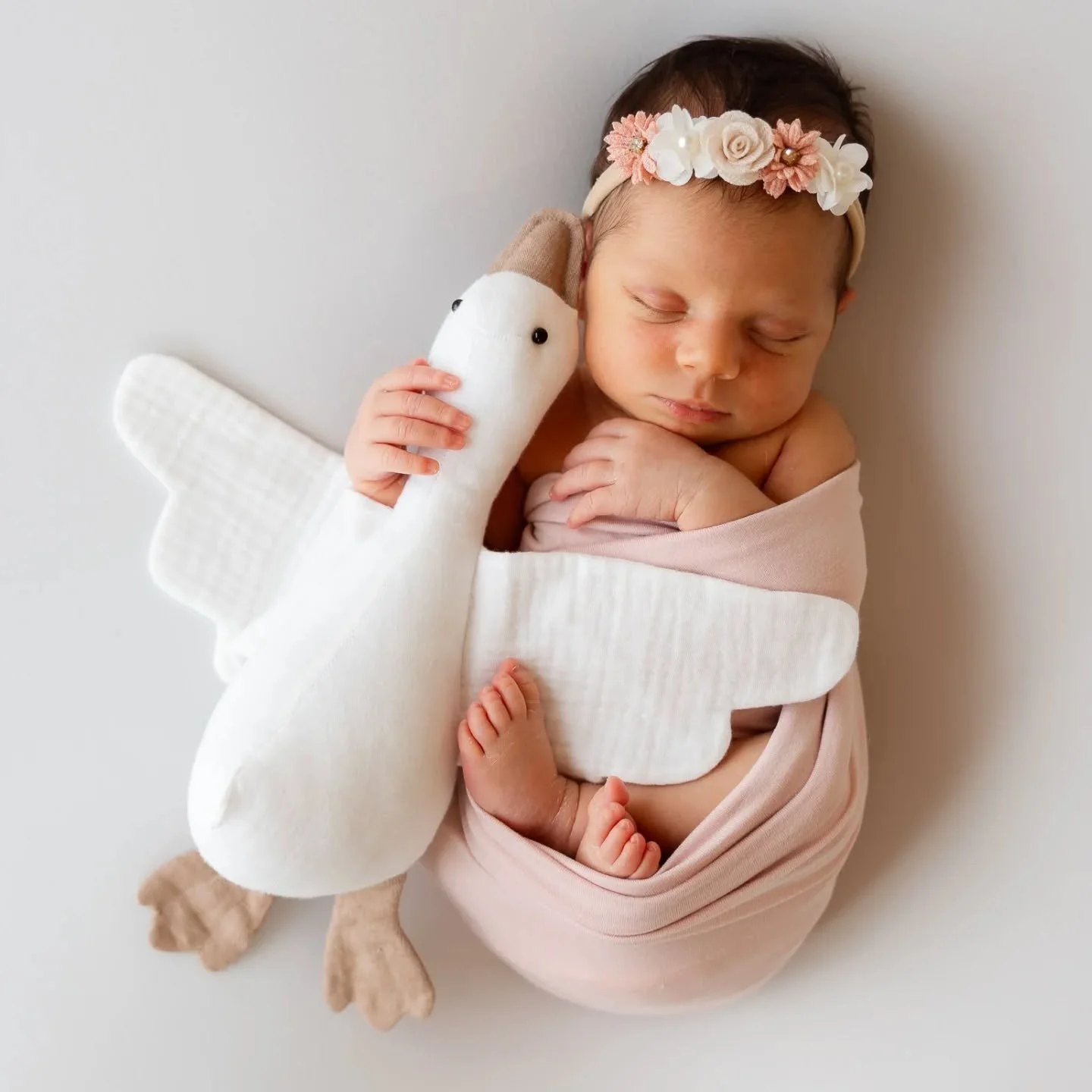Diese s&uuml;&szlig;e Maus hat einfach das Shooting verschlafen 🤍

#newbornfotoshooting #babygirl #newbornphotography #neugeborenenshooting #babyphotography