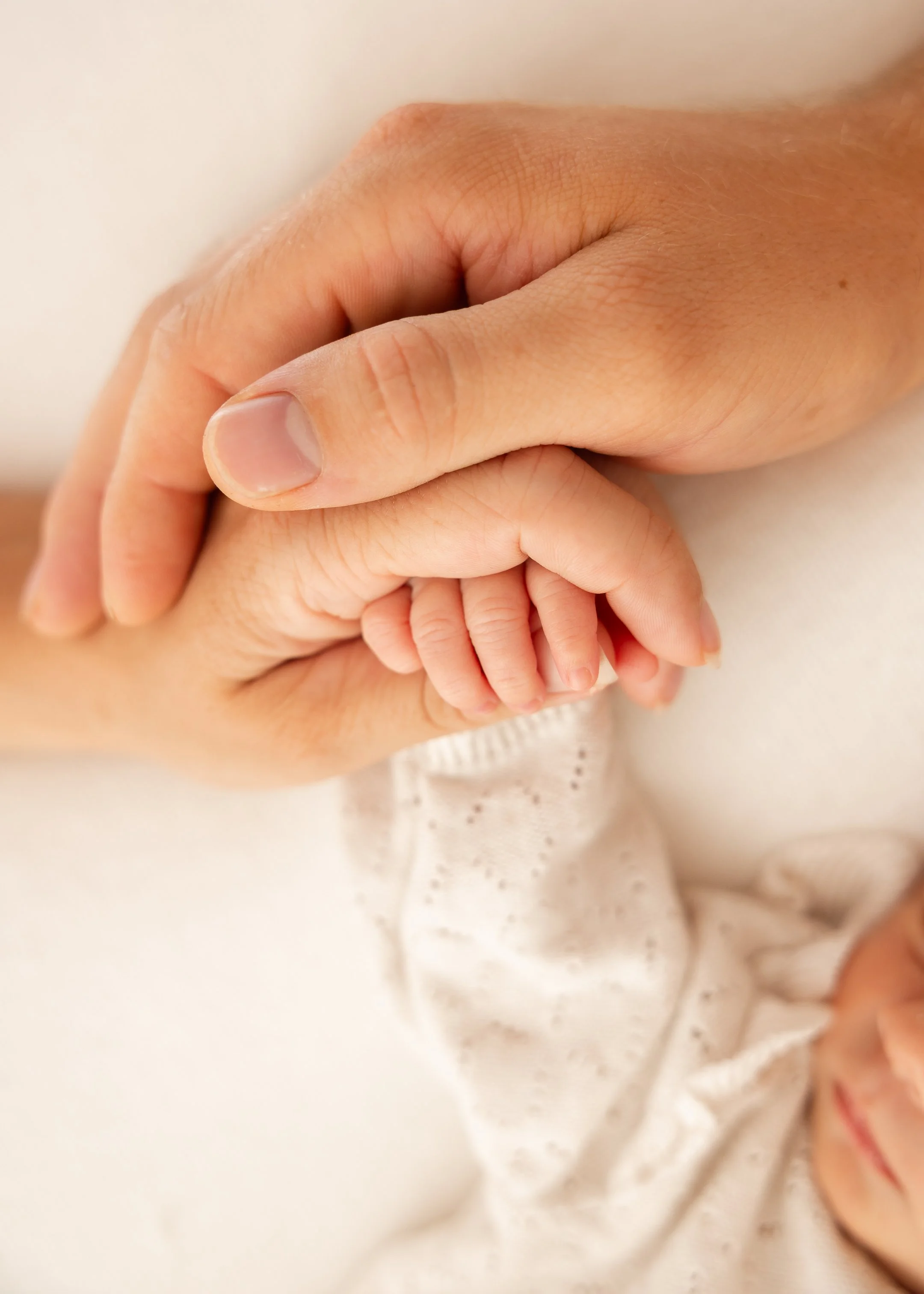 Ein Erwachsenenhändchen hält ein kleines Händchen eines Babys.
