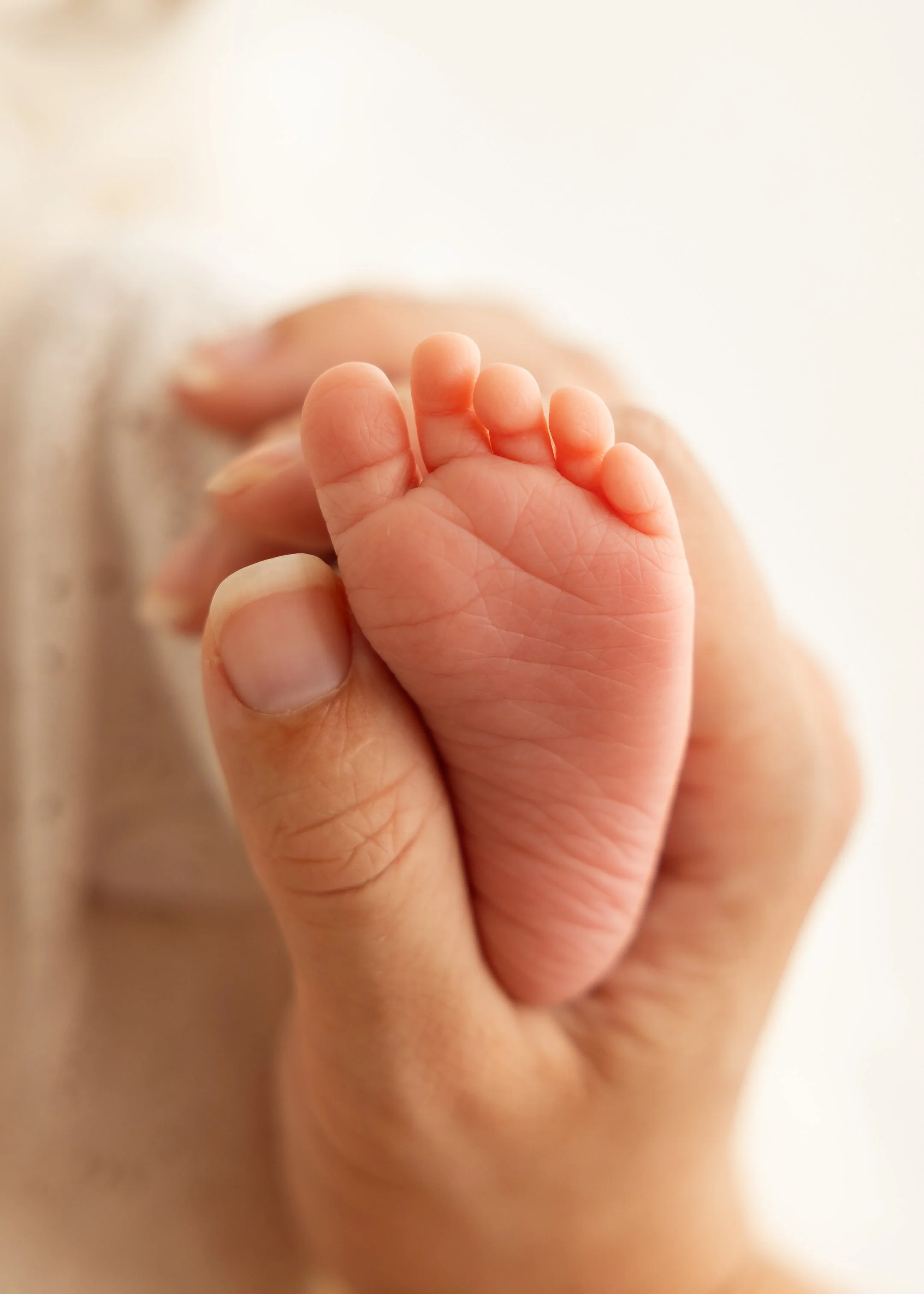 Nahaufnahme einer kleinen Babyhand, gehalten von einer erwachsenen Hand.