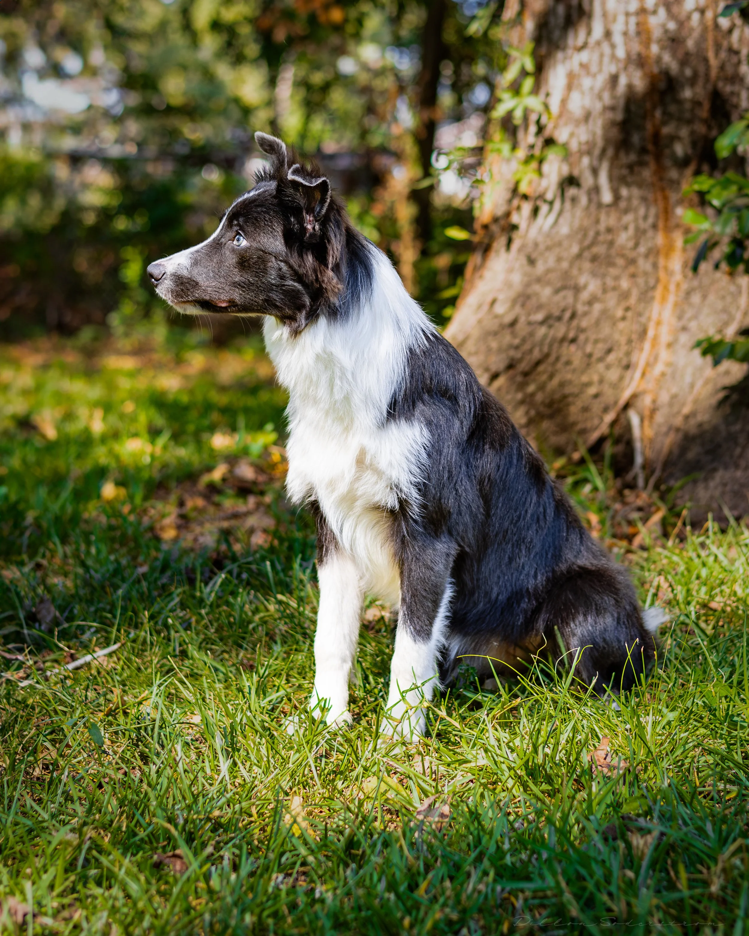 Sept 17 (3 of 4).JPG