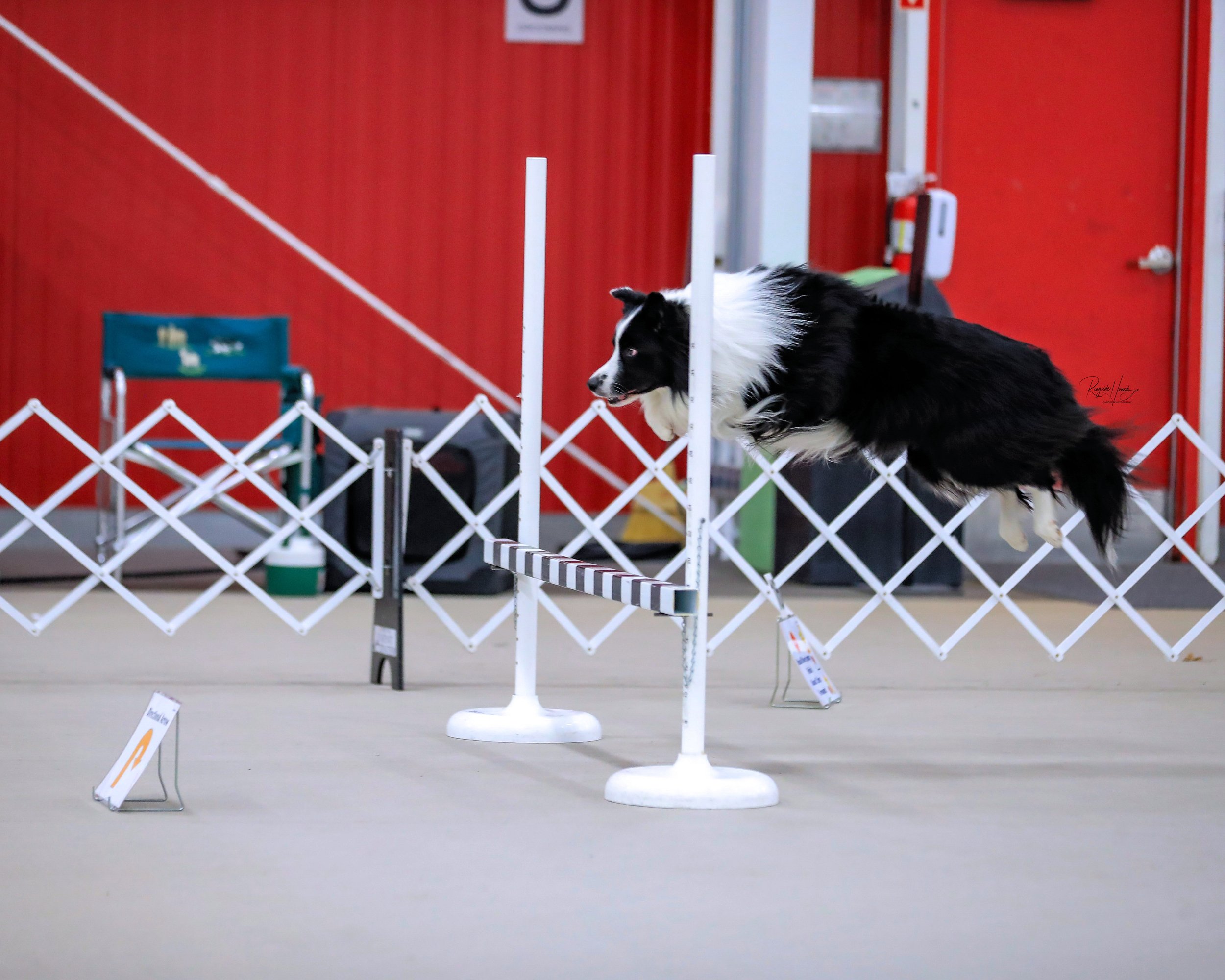 Copy of AX0I4497.jpg