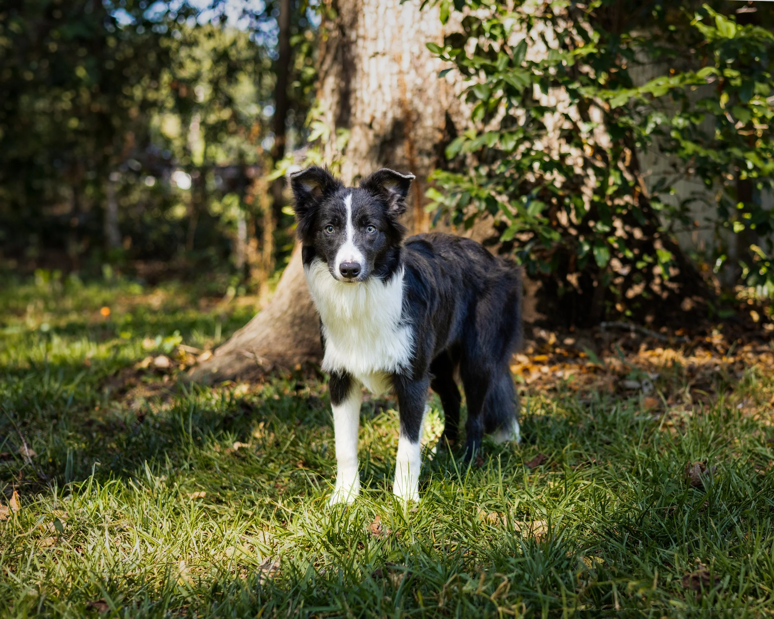 Sept 17 (1 of 4).JPG