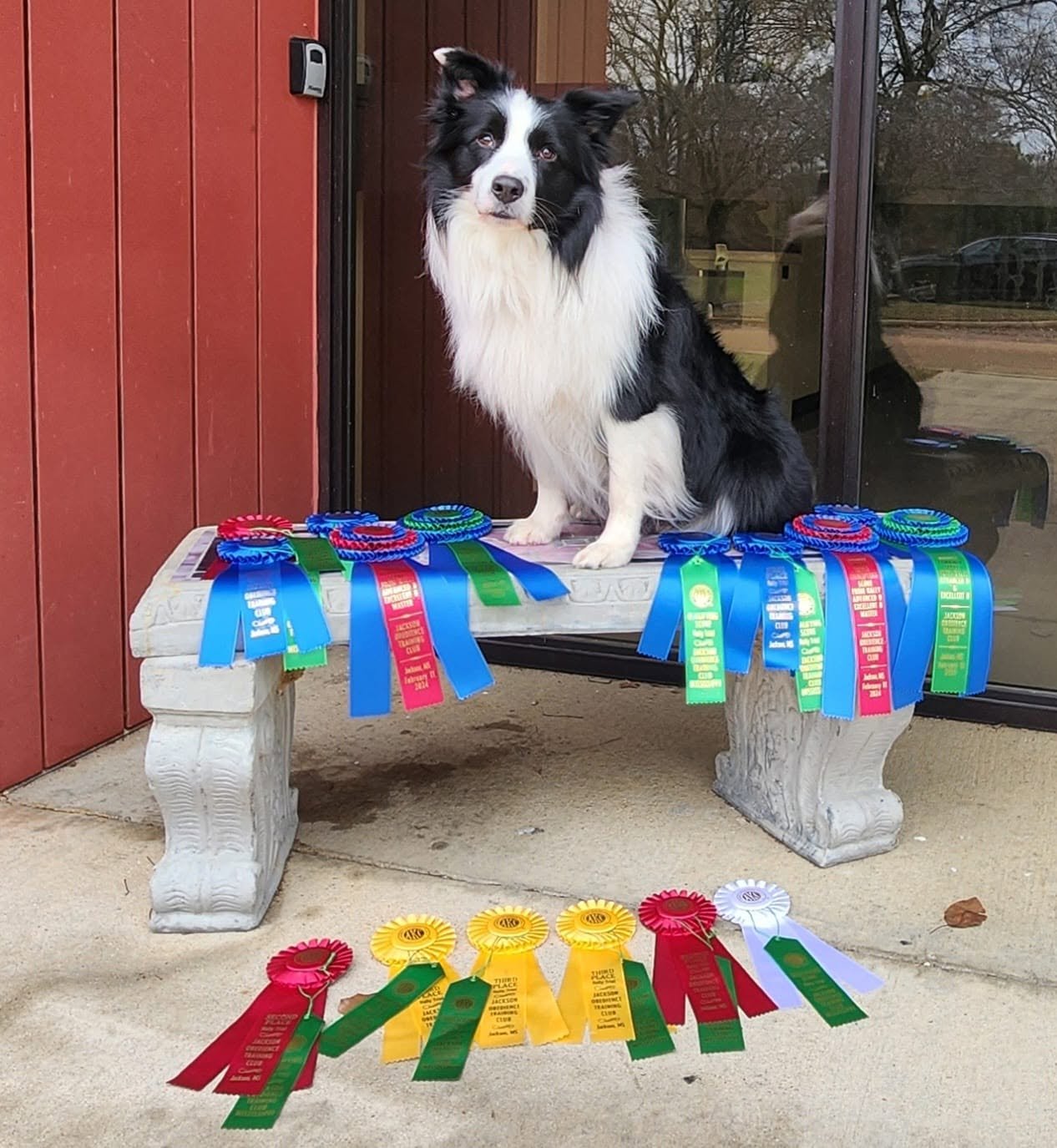 494002217_9503407663040528_4155198243107884947_n.jpg