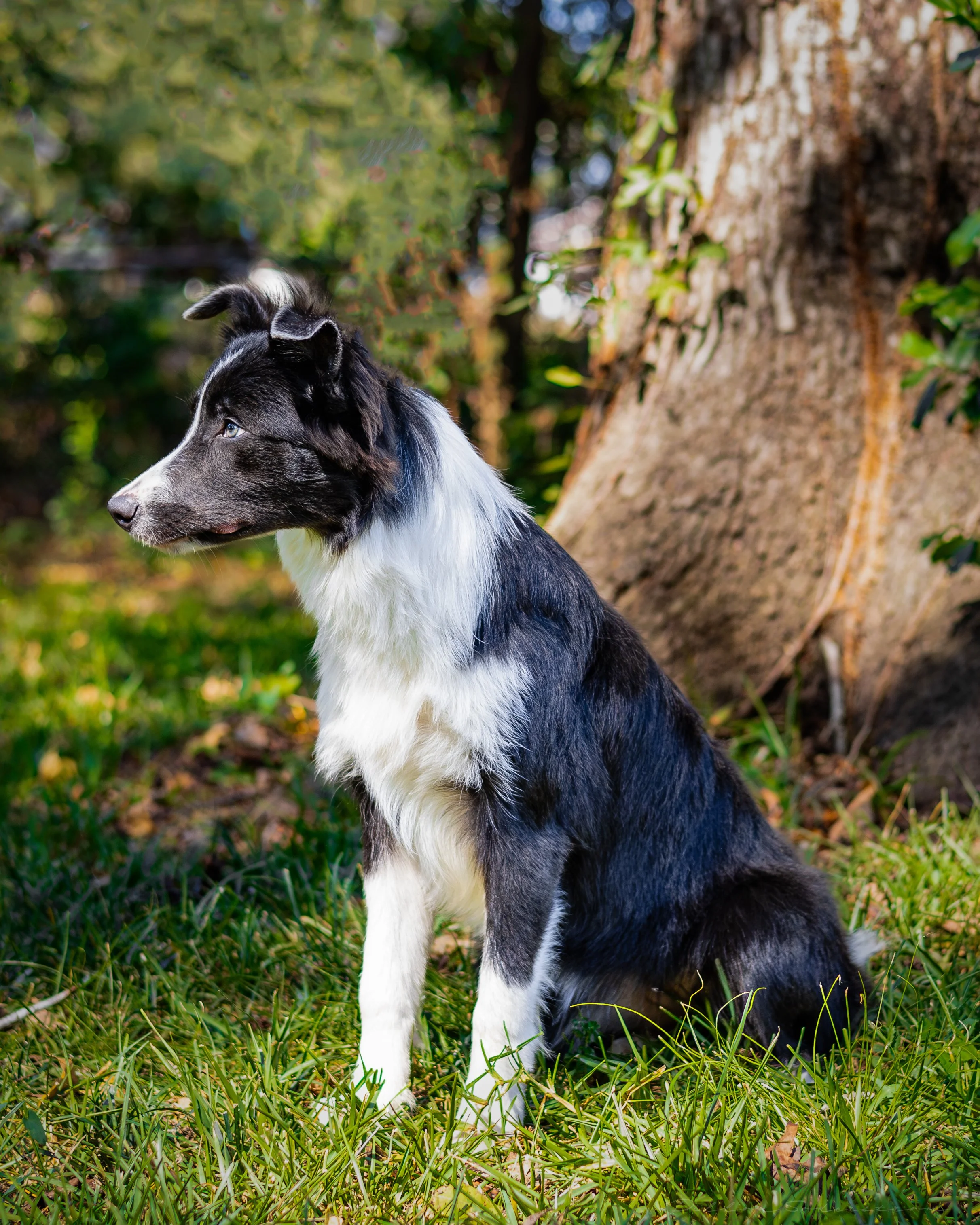 Sept 17 (2 of 4) (1).JPG