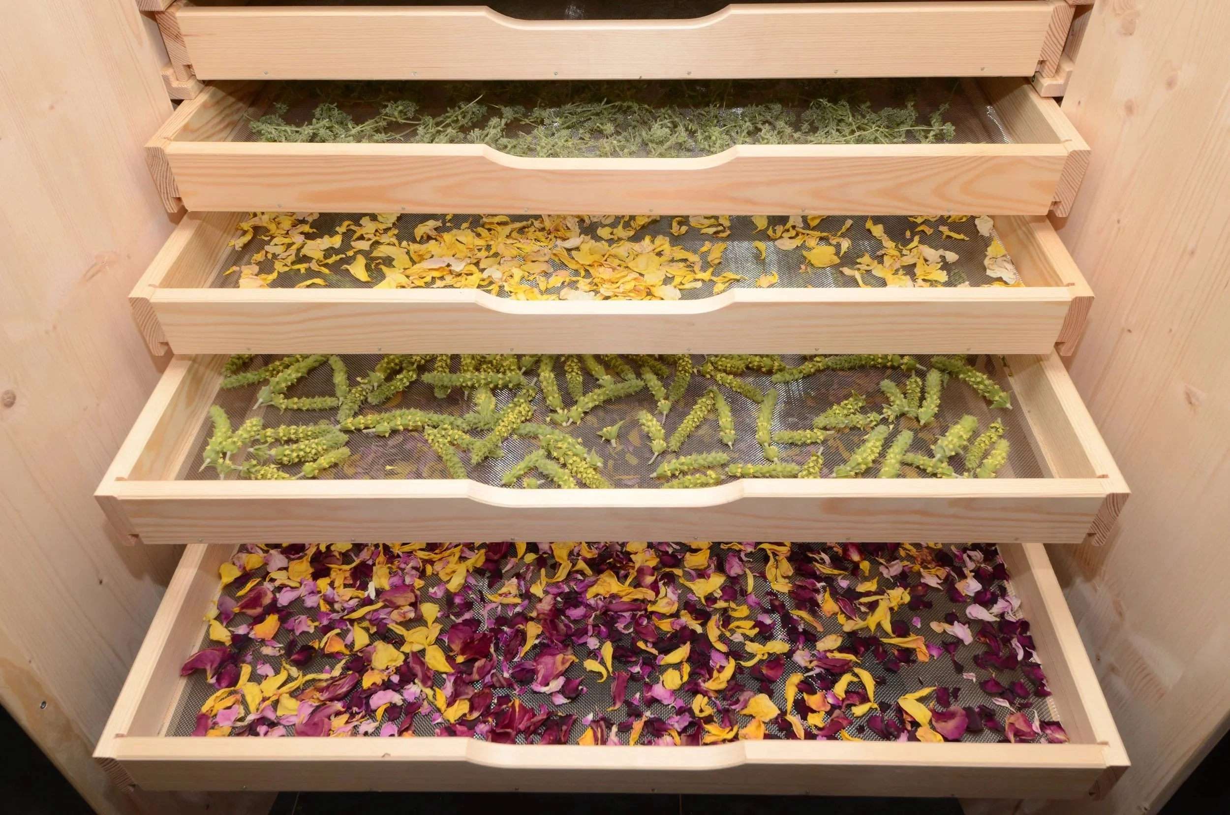 Kräuterwoche - vom Garten zur Hausapotheke