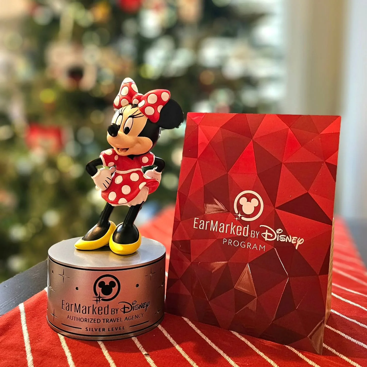 We are so incredibly grateful and proud to share some truly magical news. ✨ Skye&rsquo;s the Limit Vacations has once again been recognized as EarMarked by Disney! 

This recognition means so much because it reflects the heart and dedication of our a