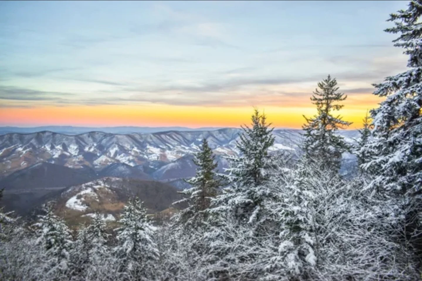 Navigating the Ice: Your Winter Storm "Fern" Survival Guide