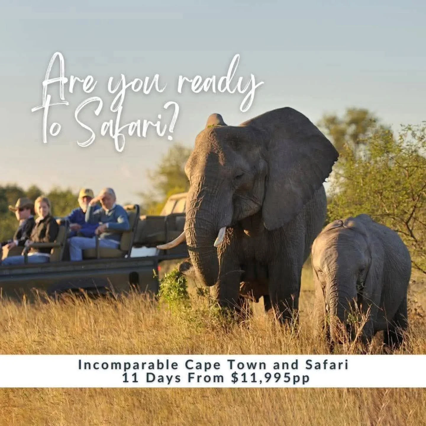 Want to experience the magic of a South African safari, explore vibrant Cape Town, and witness one of the Seven Natural Wonders of the World in Zimbabwe? Then don&rsquo;t miss this AMAZING opportunity on a locally hosted tour with African Travel, Inc