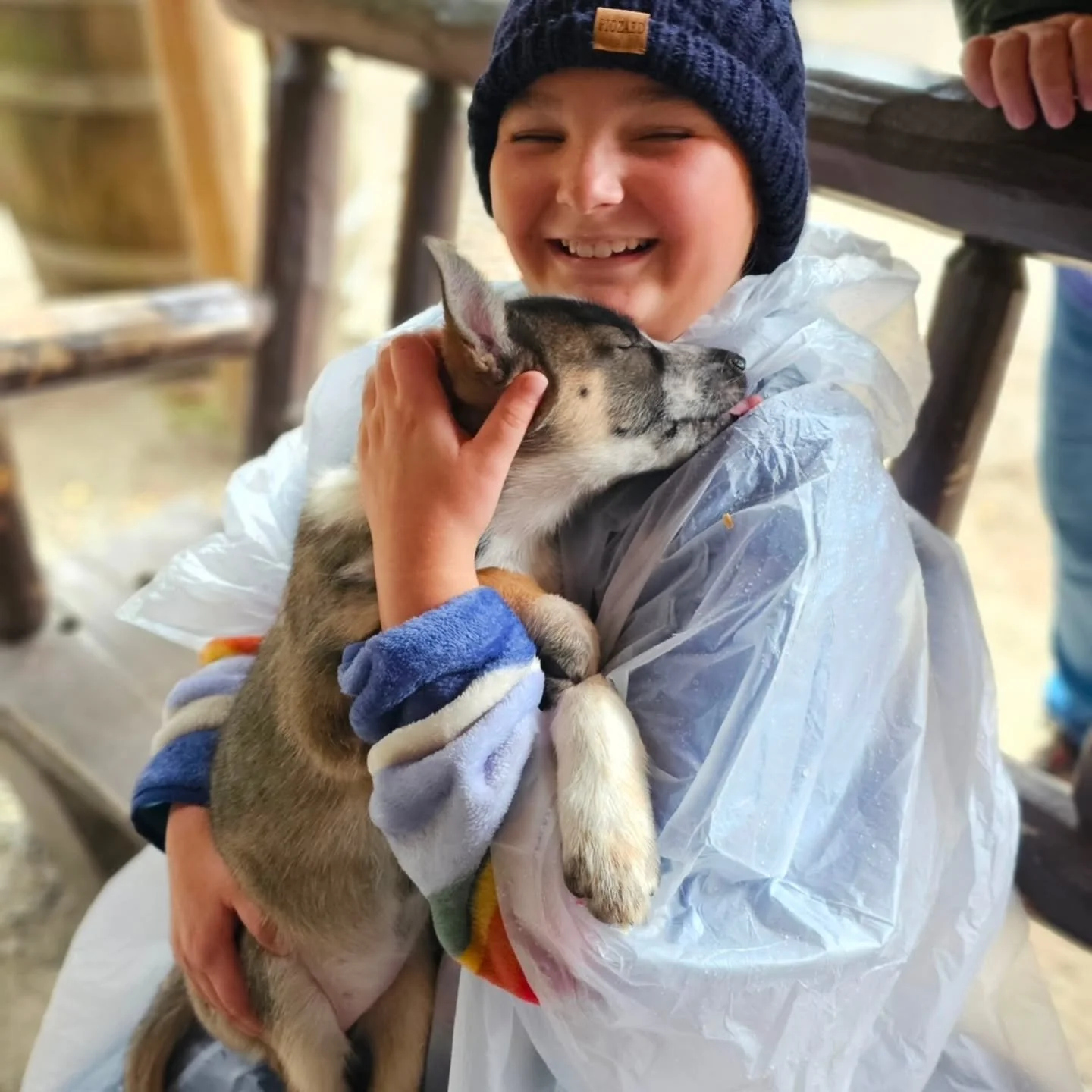 There are excursions that are beautiful... and then there are the ones that stay with you long after you get home.

Before we ever boarded our Disney Cruise to Alaska, Ella Grace knew exactly what she was most excited about: meeting the sled dog pupp