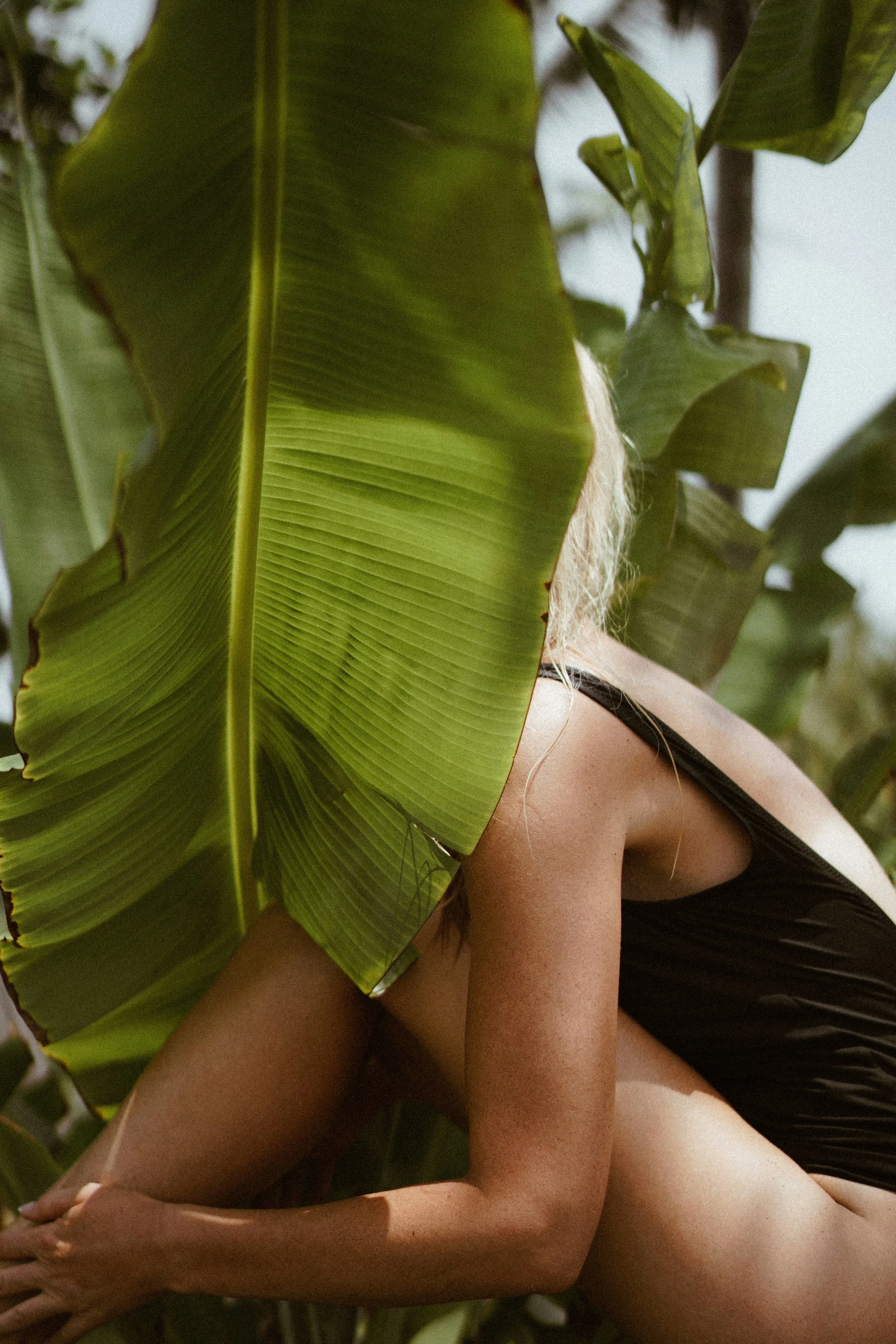 Une femme portant un maillot de bain noir est cachée derrière de grandes feuilles de bananier dans une environment tropicale.