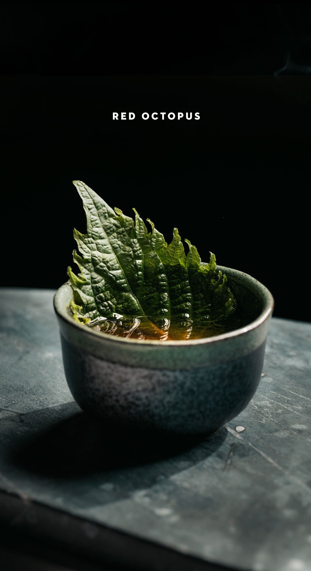 SHiso2.jpg