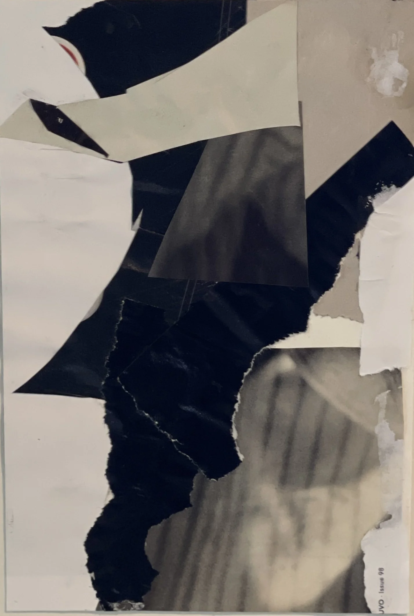 Black and white collage#3.jpg