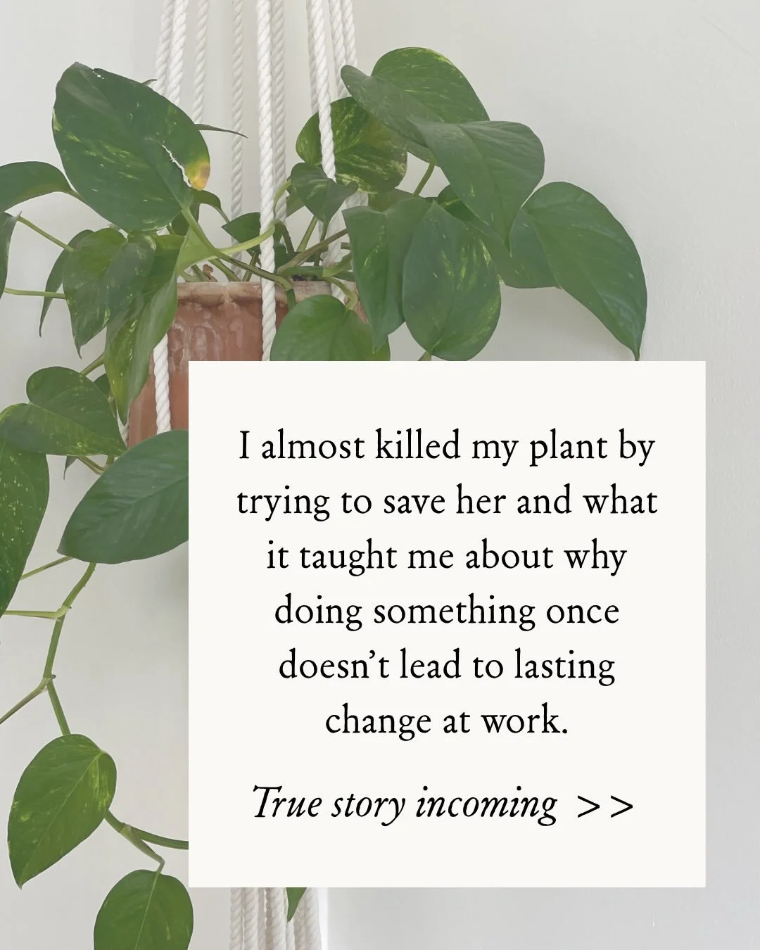 We might try to pour on all the &ldquo;wellness&rdquo; at once with an annual green juice detox or 75 Hard and then go back to our normal lives expecting that feeling to last all year.
.
All-or-nothing resets don&rsquo;t work like that. 
.
You need t