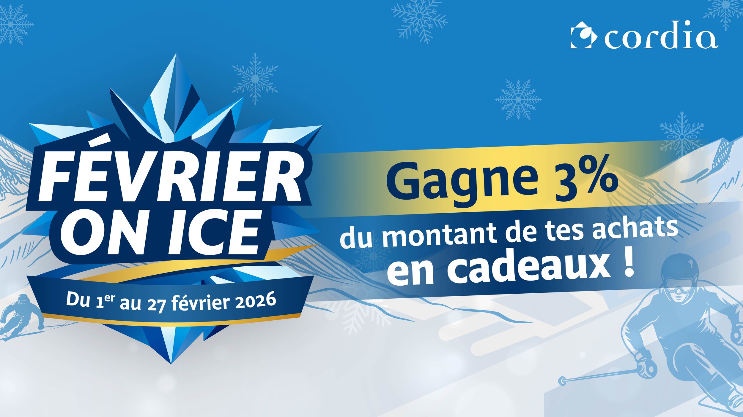 Format affichage dynamique