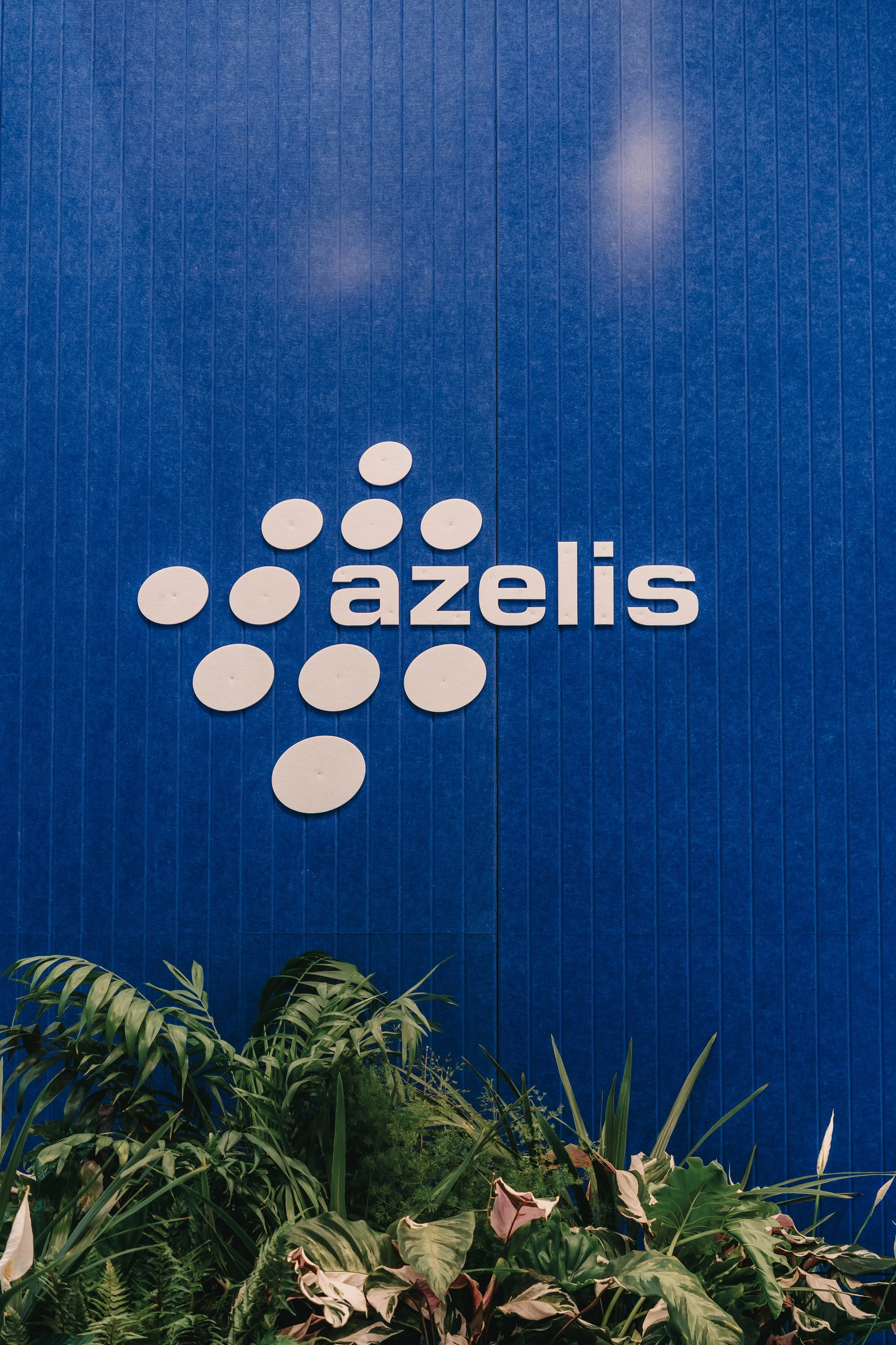 AZELIS-2.jpg