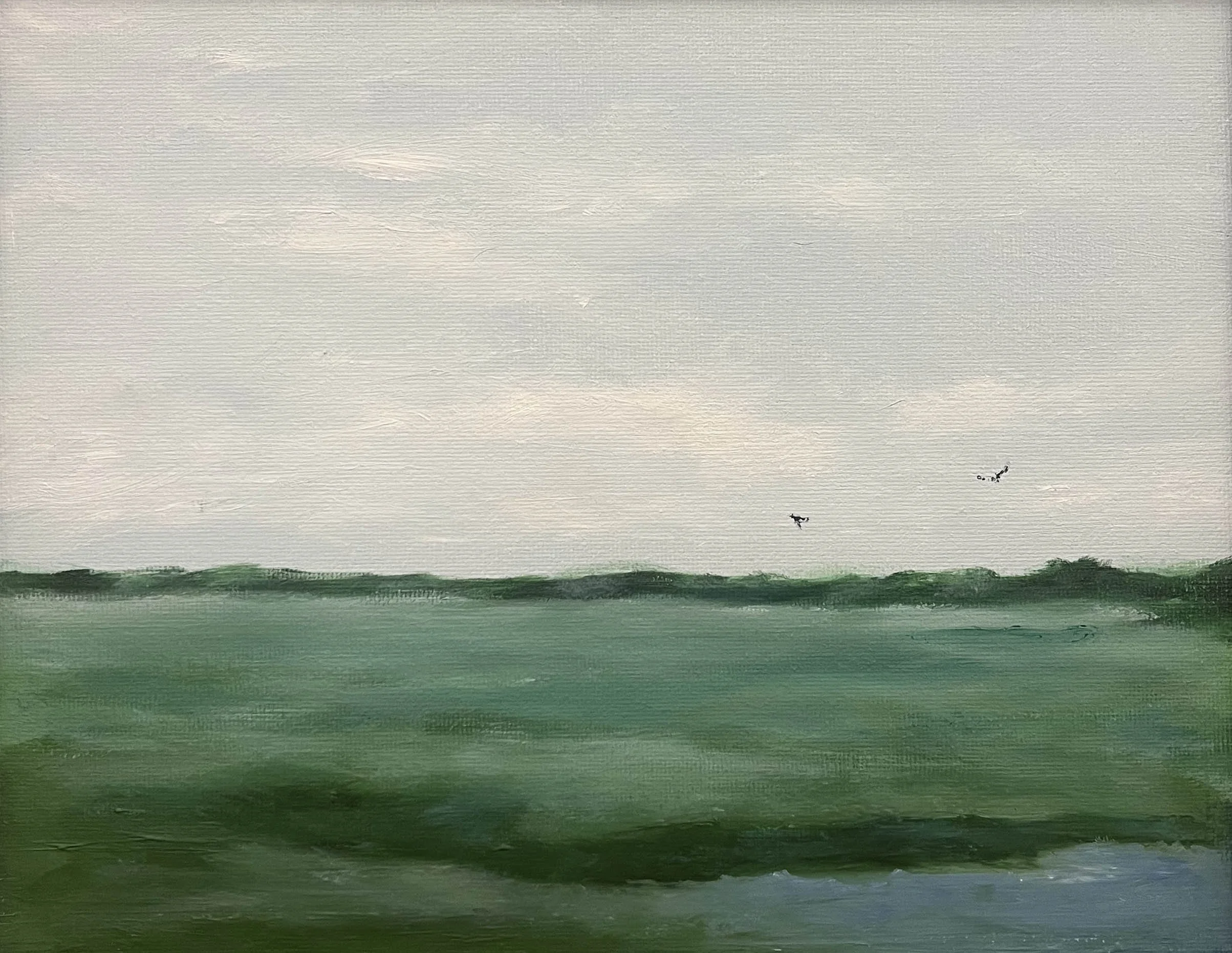 In Flight | 8x10 | oil on canvas | framed | 325