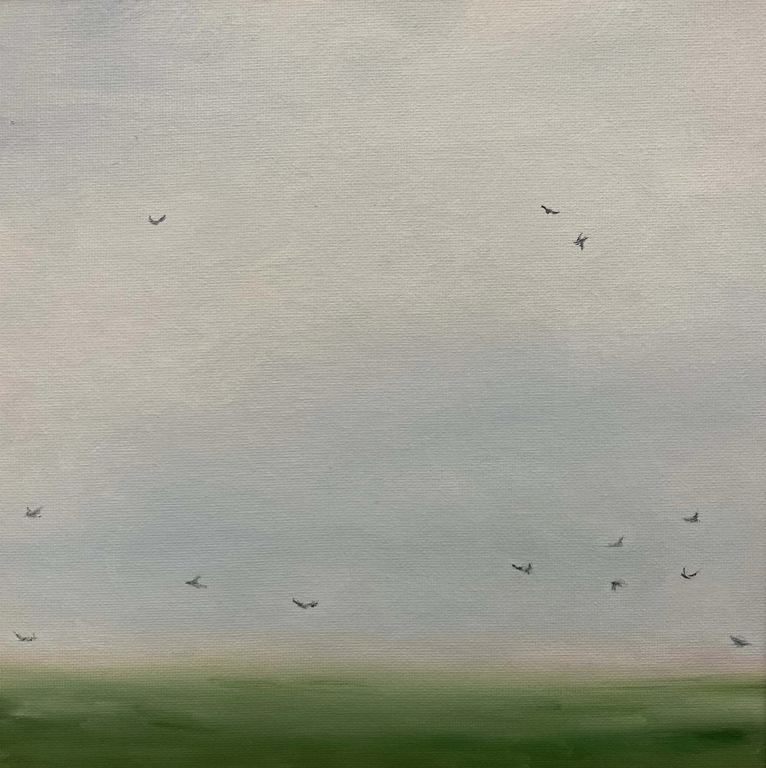 Skylarkin | 10x10 | oil on canvas | framed | 400