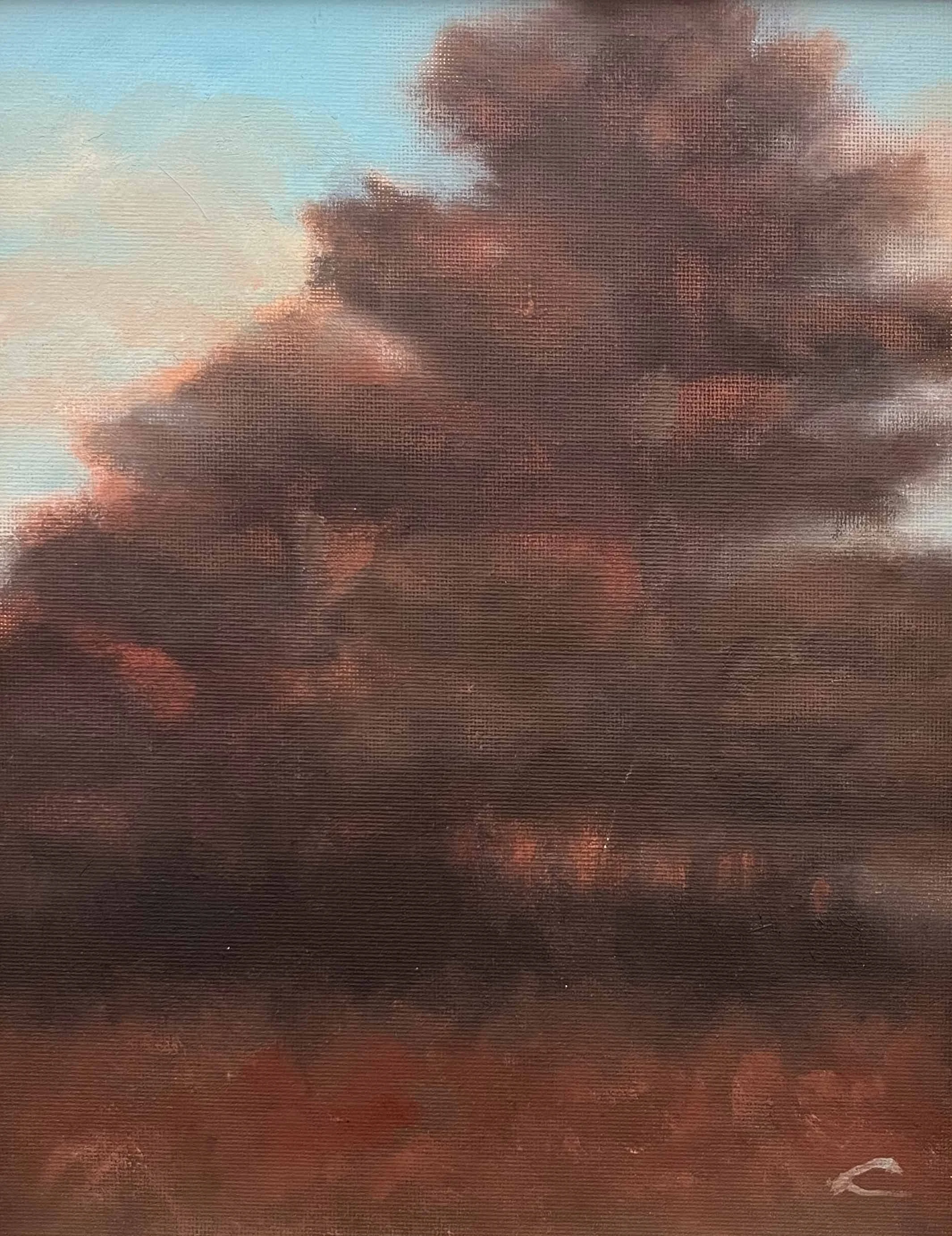 Pine Barren at Dusk | 8x10 | oil on canvas | framed | 325