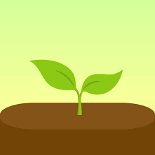 Young plant sprouting from soil