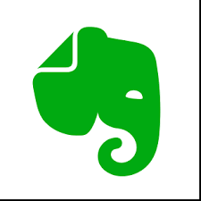 Green and white stylized elephant logo