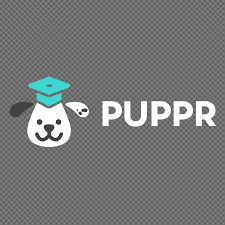 Logo with a cartoon puppy wearing a graduation cap and the text 'PUPPR'
