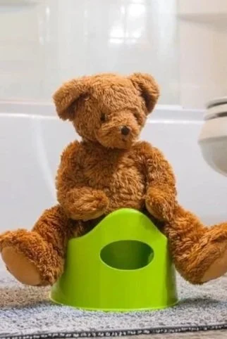 Potty Training Guide