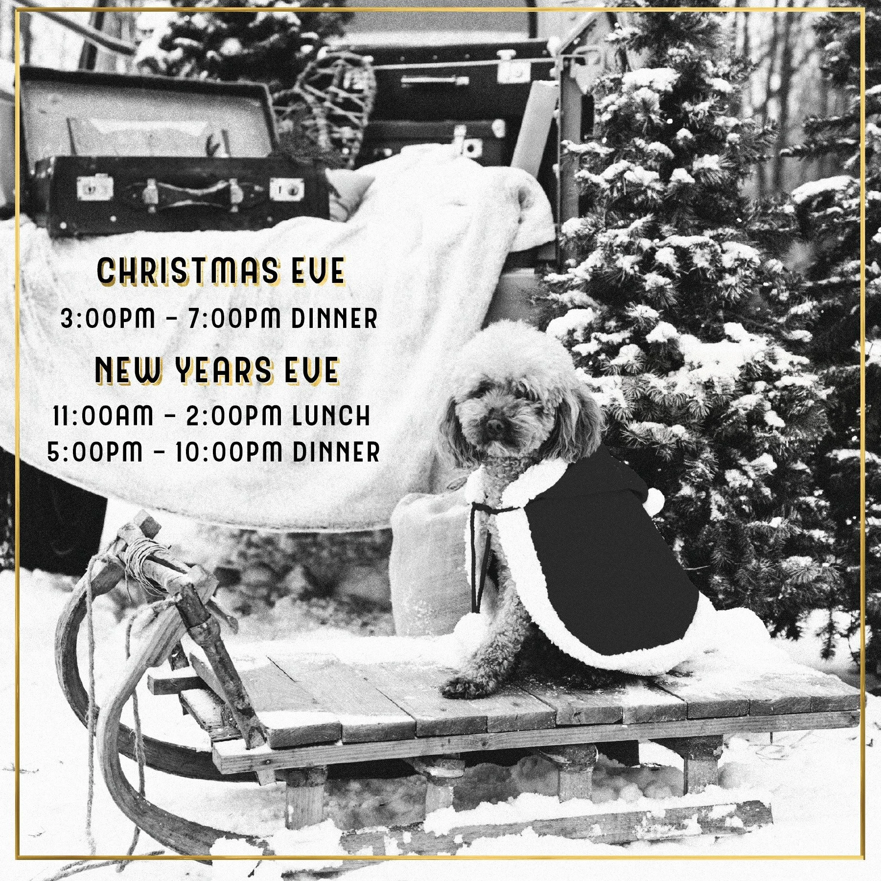 Still need holiday plans? 🎁 Secure your Christmas Eve or NYE meal with us
&middot;
&middot;
Follow the link in our bio to secure your table. 
&middot;
#grappafood #grappaeats #grapparoc #grappa #rochesterny #tasteny #cameraeatsfirst #restaurantsroc 