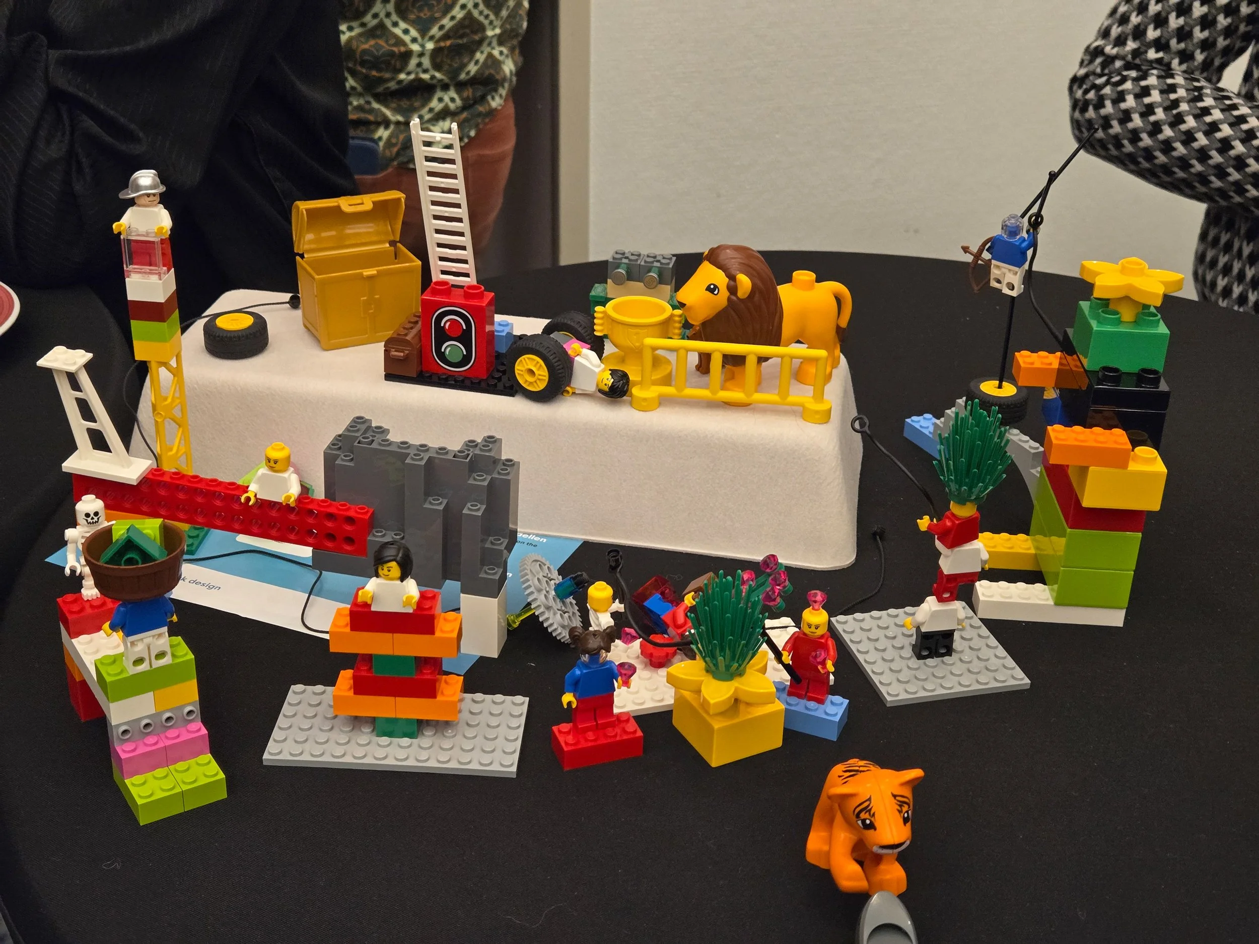 2025 LSP VieCuri-4.jpg