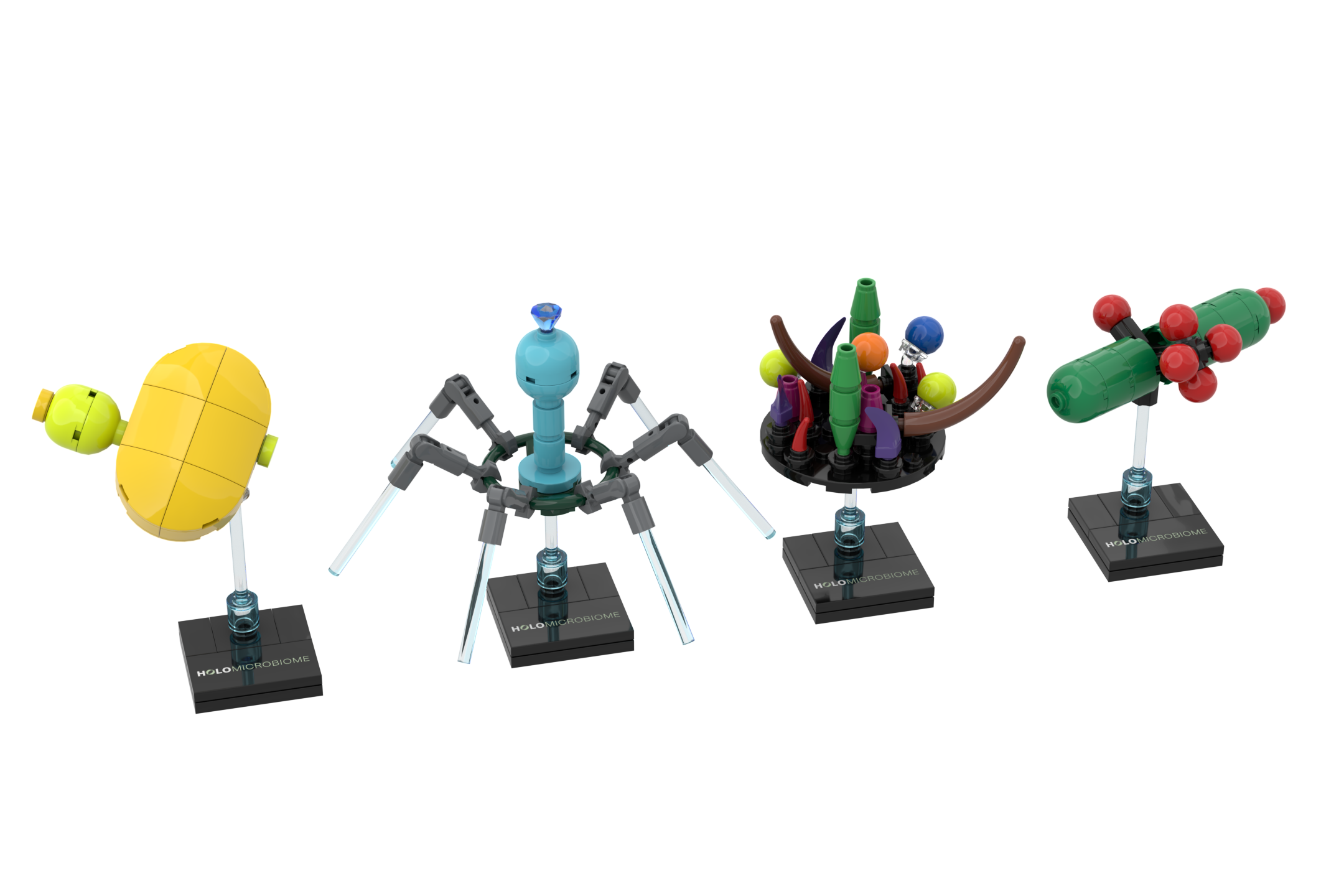 202606 Holomicrobiome Let's build! render.png