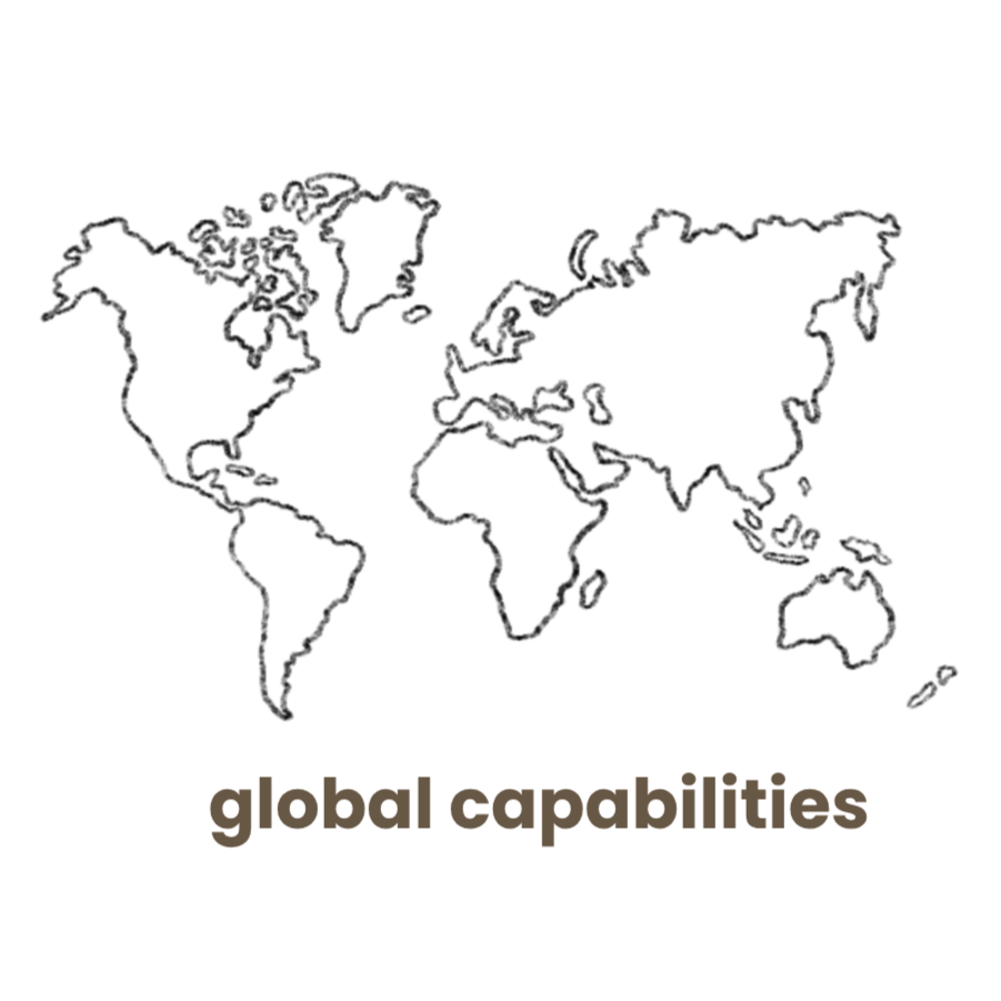 drawing of the map of the world saying "global capabilities"