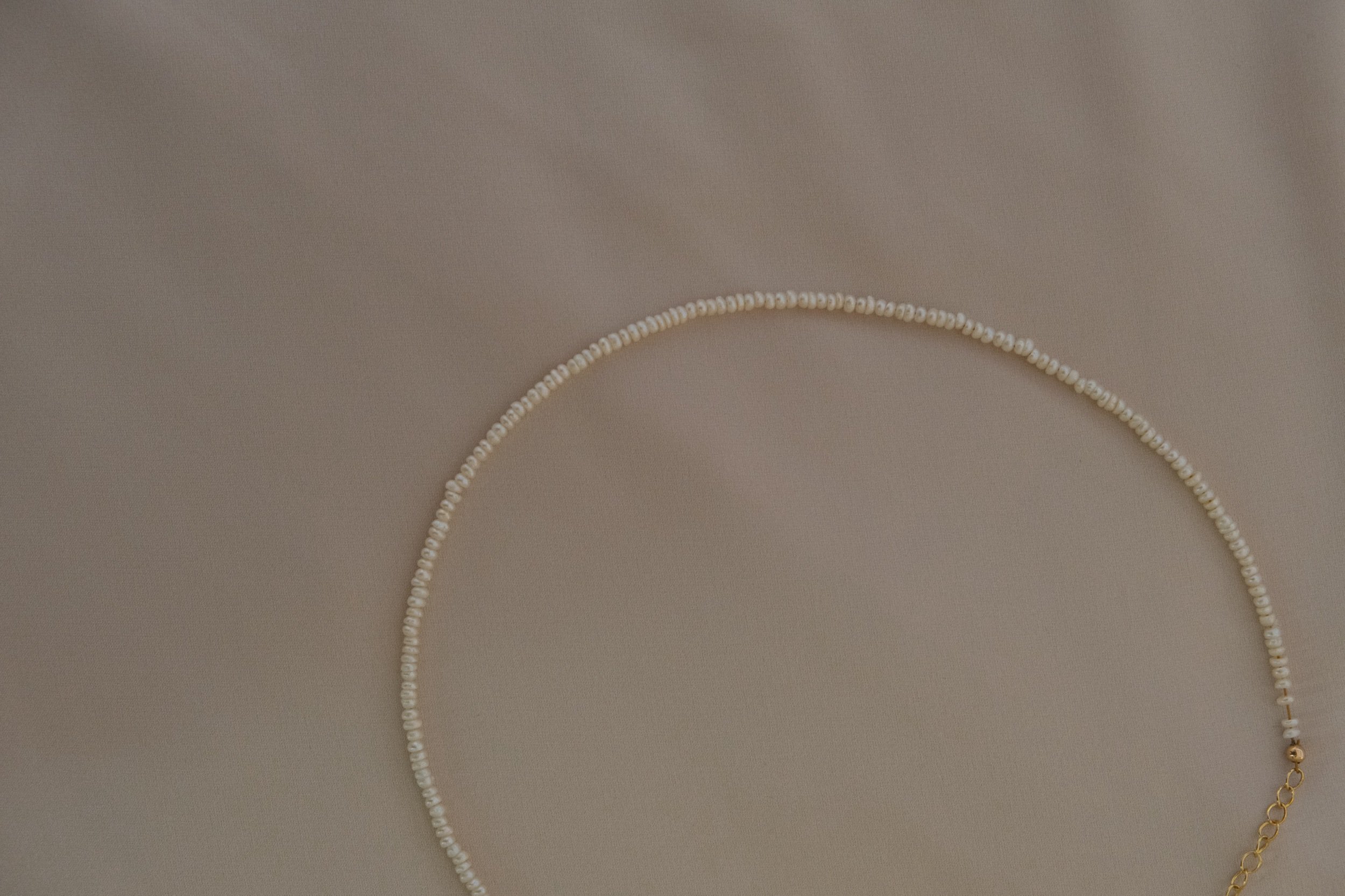 F83823AB-8AF9-4066-87F2-D0E721ECF531.jpeg