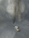 Charmed in Silver