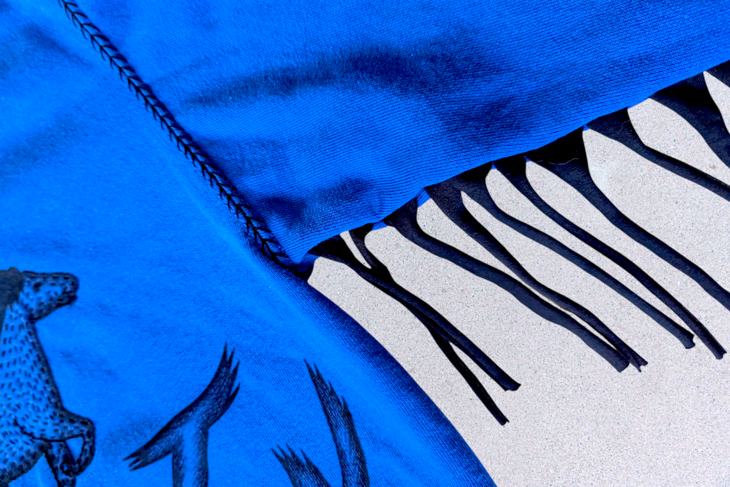 WESTY BLUE HORSE5.png