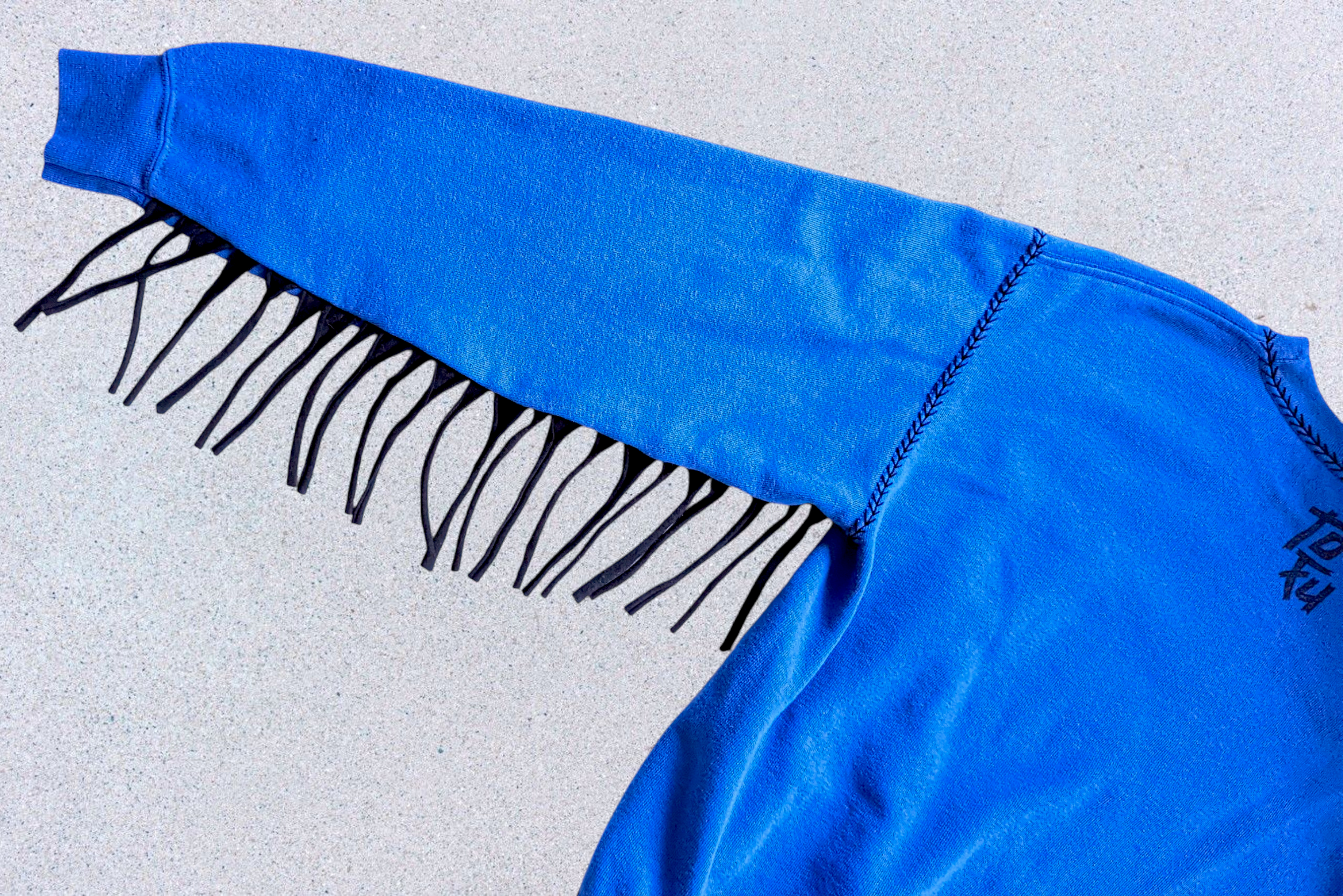 WESTY BLUE HORSE9.png