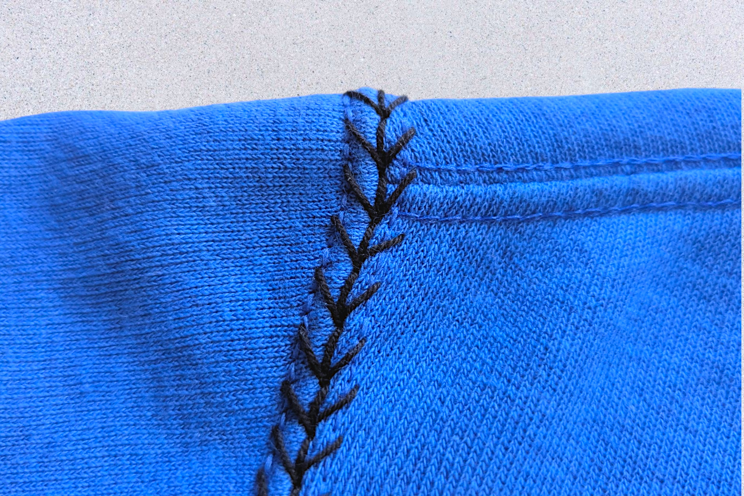 WESTY BLUE HORSE16.png