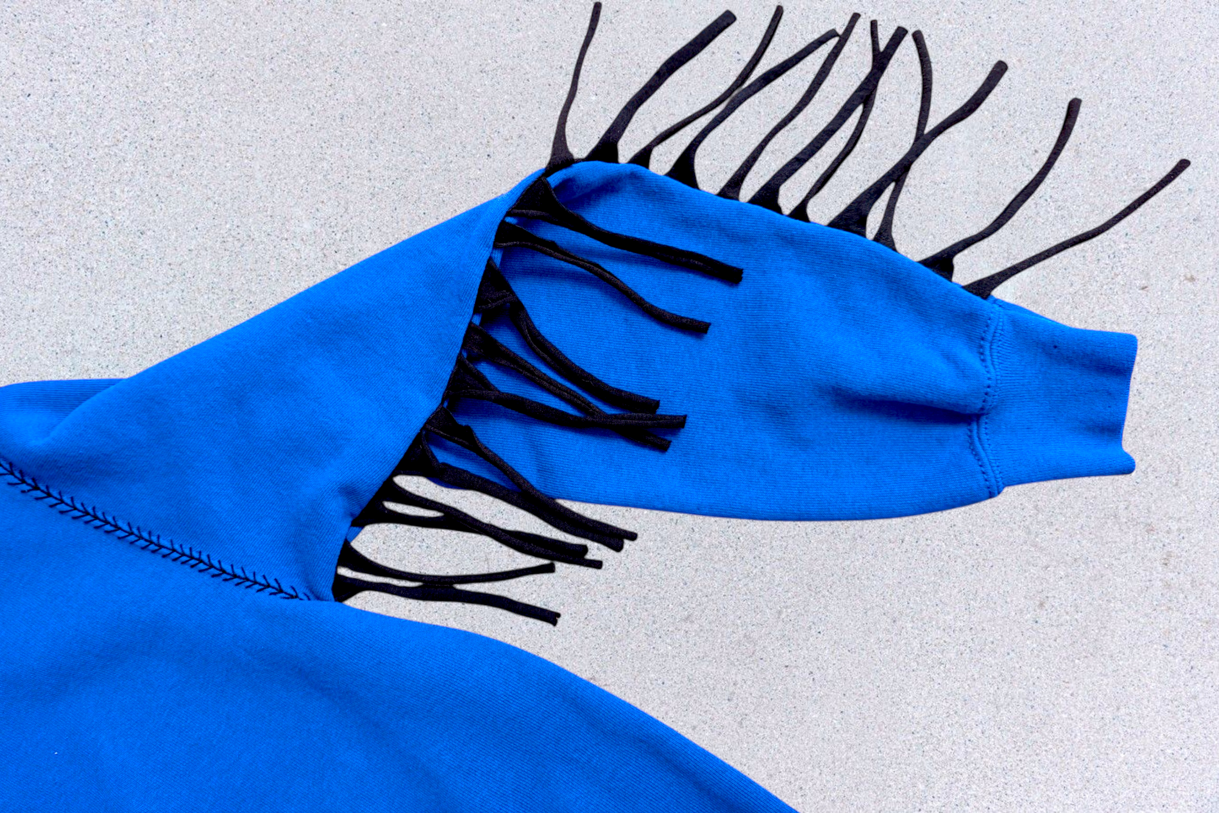 WESTY BLUE HORSE15.png