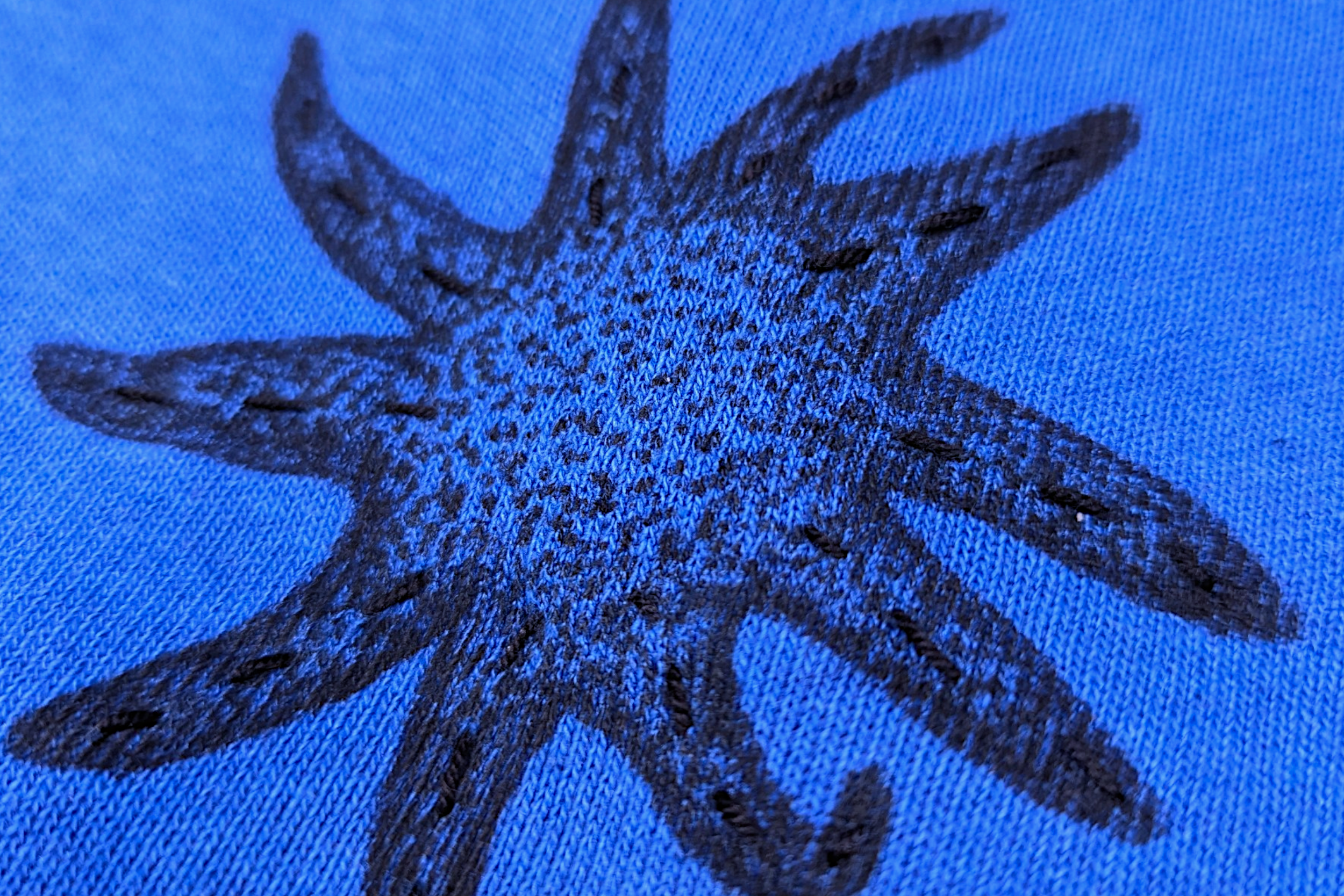 WESTY BLUE HORSE10.png