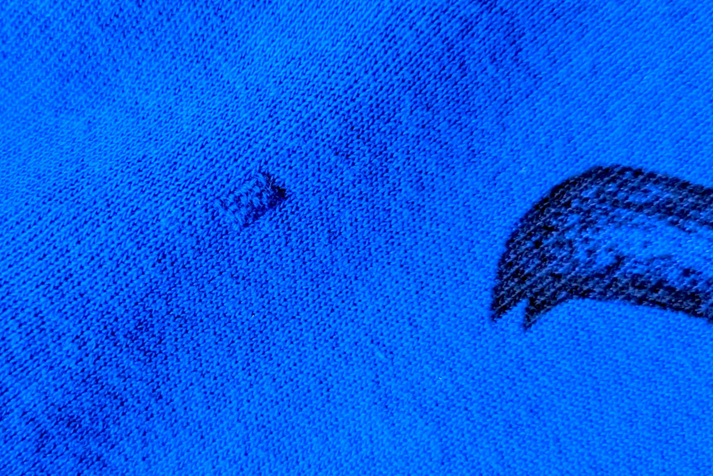 WESTY BLUE HORSE4.png