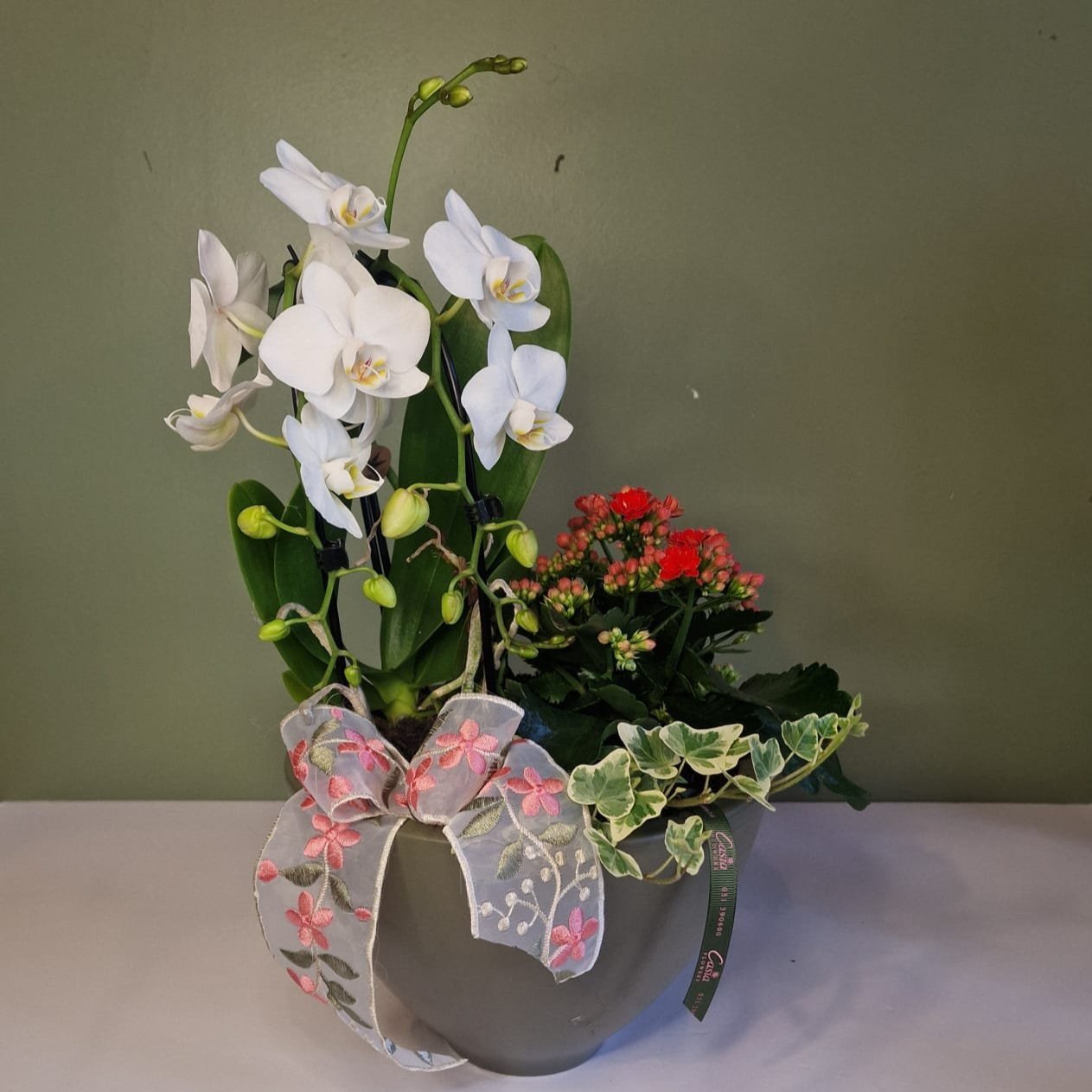 55E+ORchid+Pot.jpg