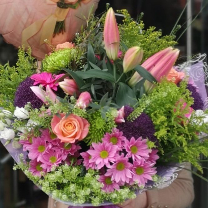 Casia+Flowers+%284%29.jpg