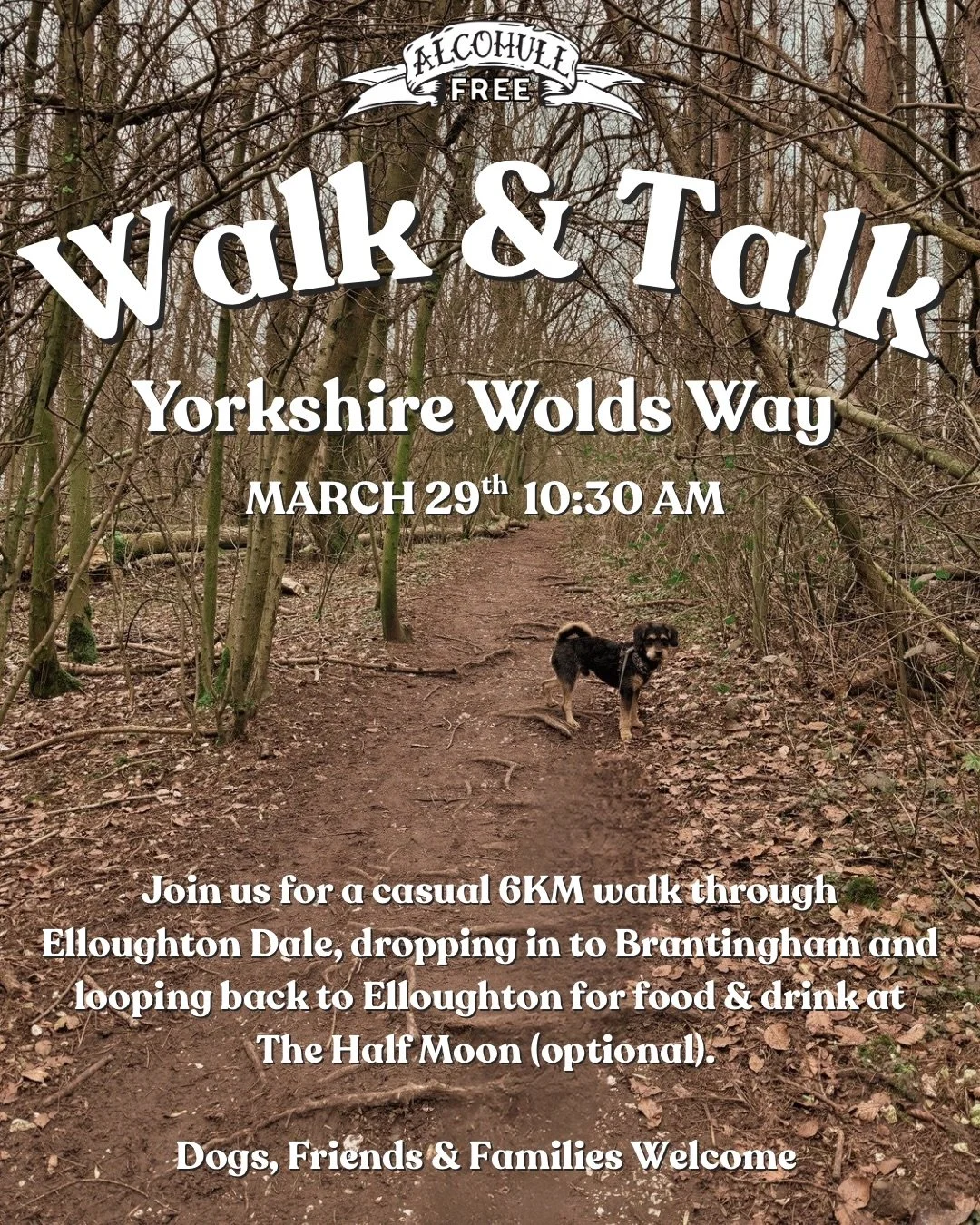 Walk &amp; Talk - Yorkshire Wolds Way 

Date: 29th March
Time: 10:30am 
Location: Meeting Point - The Half Moon, Elloughton, HU15 1HU

Join us for a casual 6KM walk through Elloughton Dale, dropping in to Brantingham and looping back to Elloughton fo