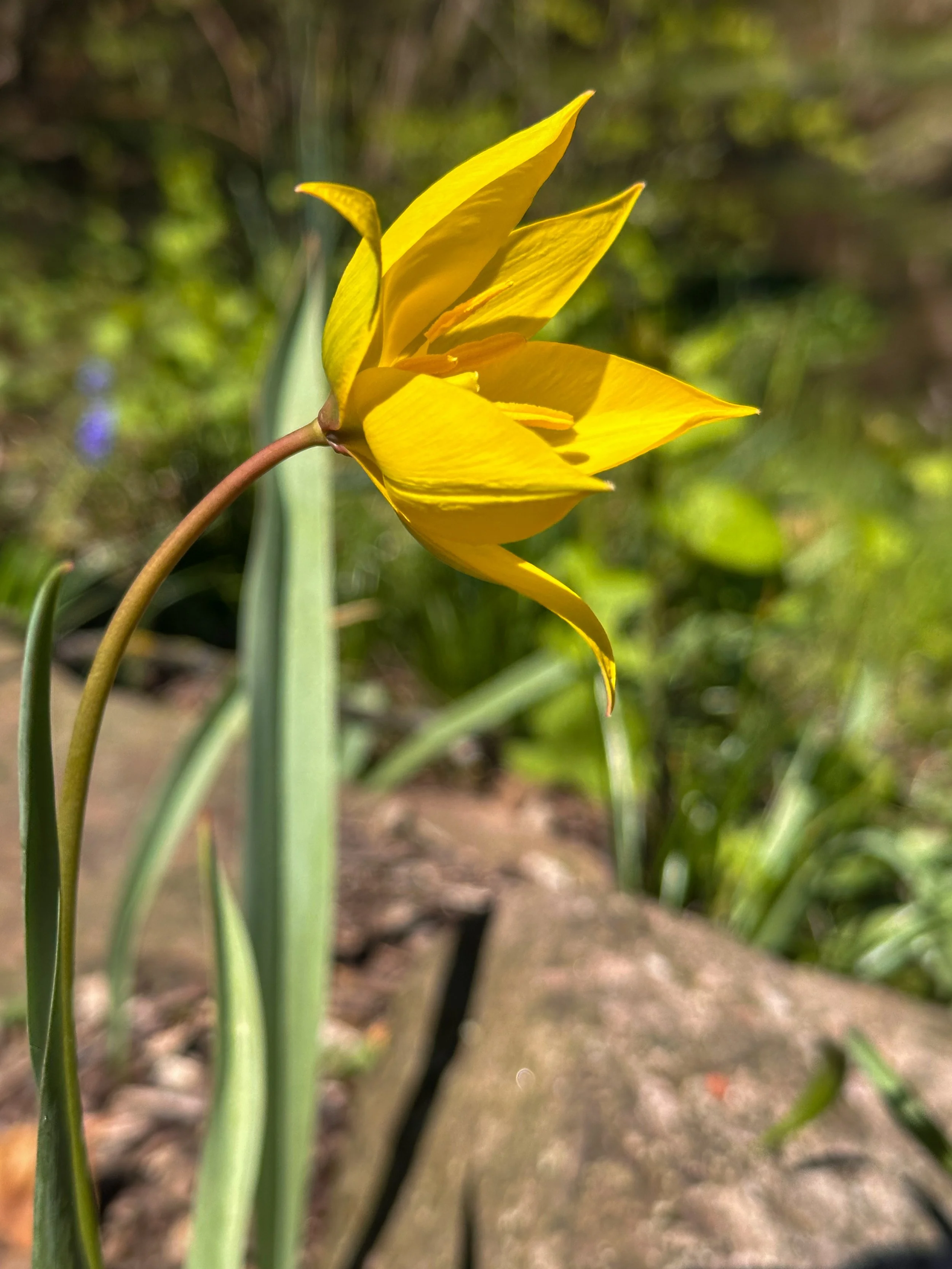 IMG_4504.jpeg