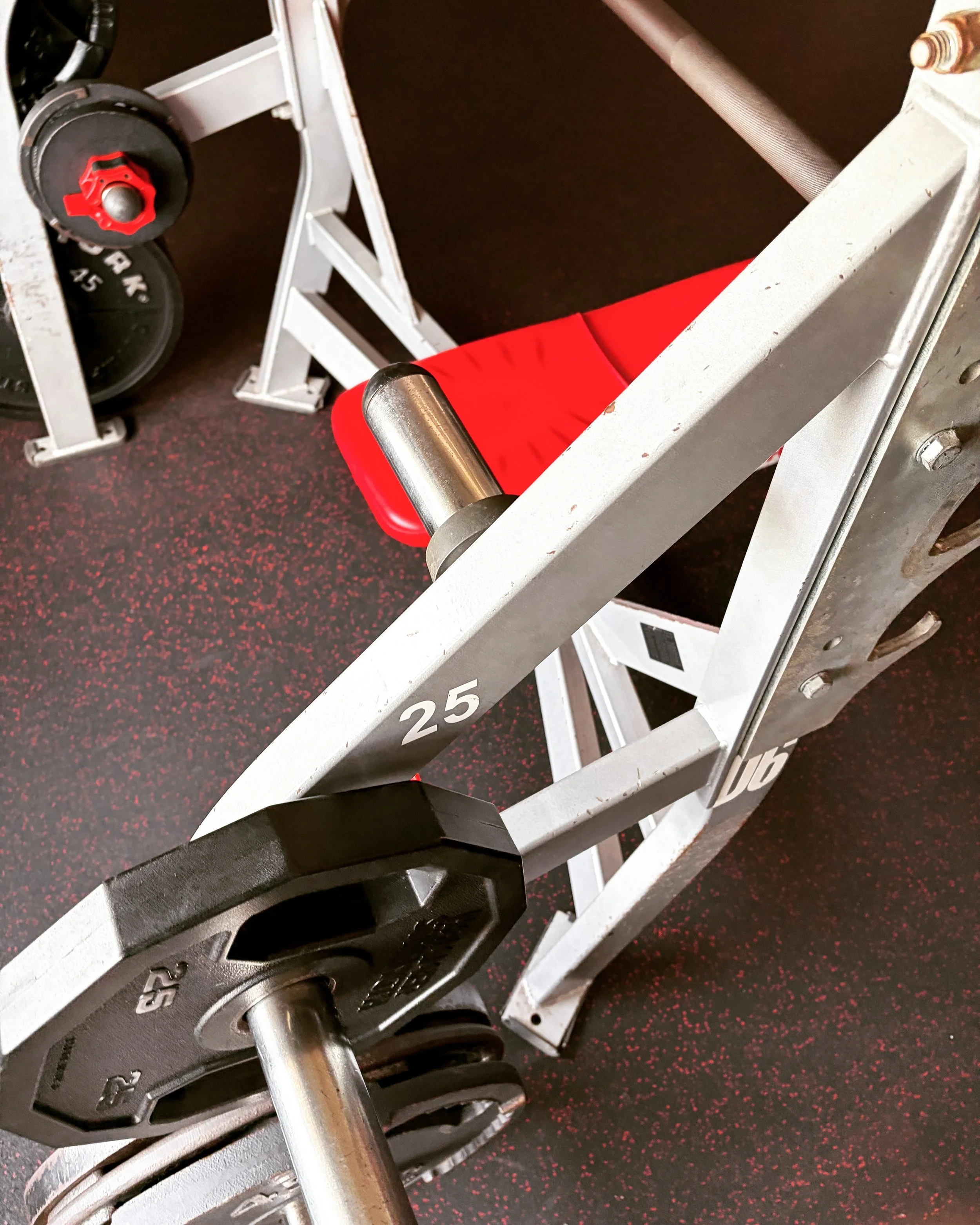 I'm back at the gym.

Physical exercise has always been a part of my life, but it's taken different forms, activities, and goals. For the past couple of months I've been on a regular lifting schedule at home. I needed heavier weights, so now I'm back