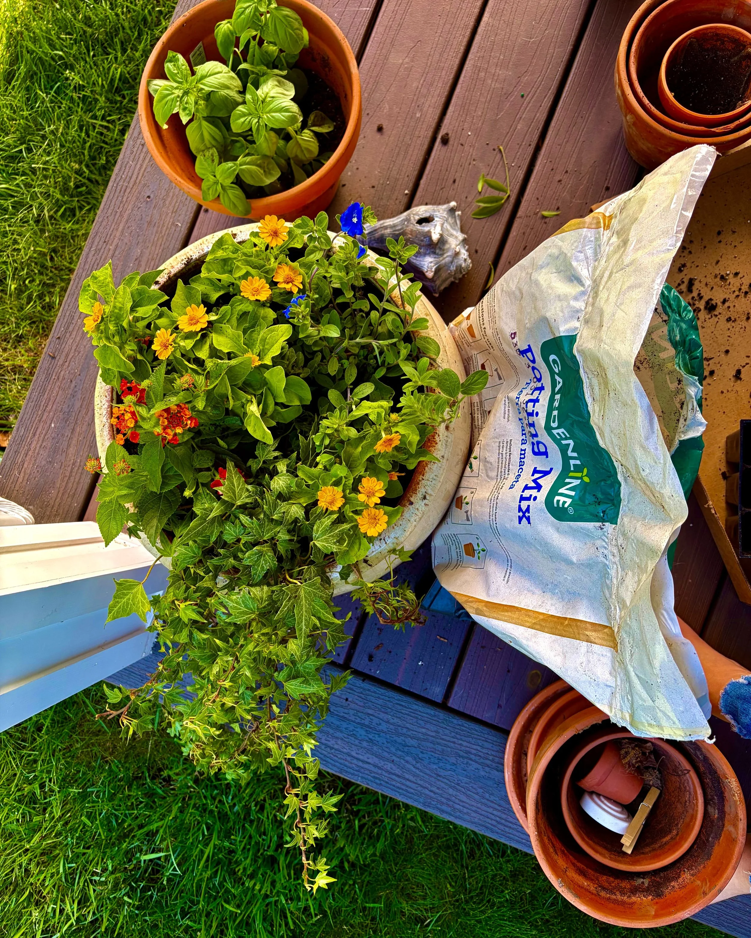 Last week I stopped at a flower stand before work. Picked out what I wanted, and when I went to pay, I realized it was cash or check only. I had neither.

She rang it all up anyway, handed me the receipt, and said, "Next time you're in the area,